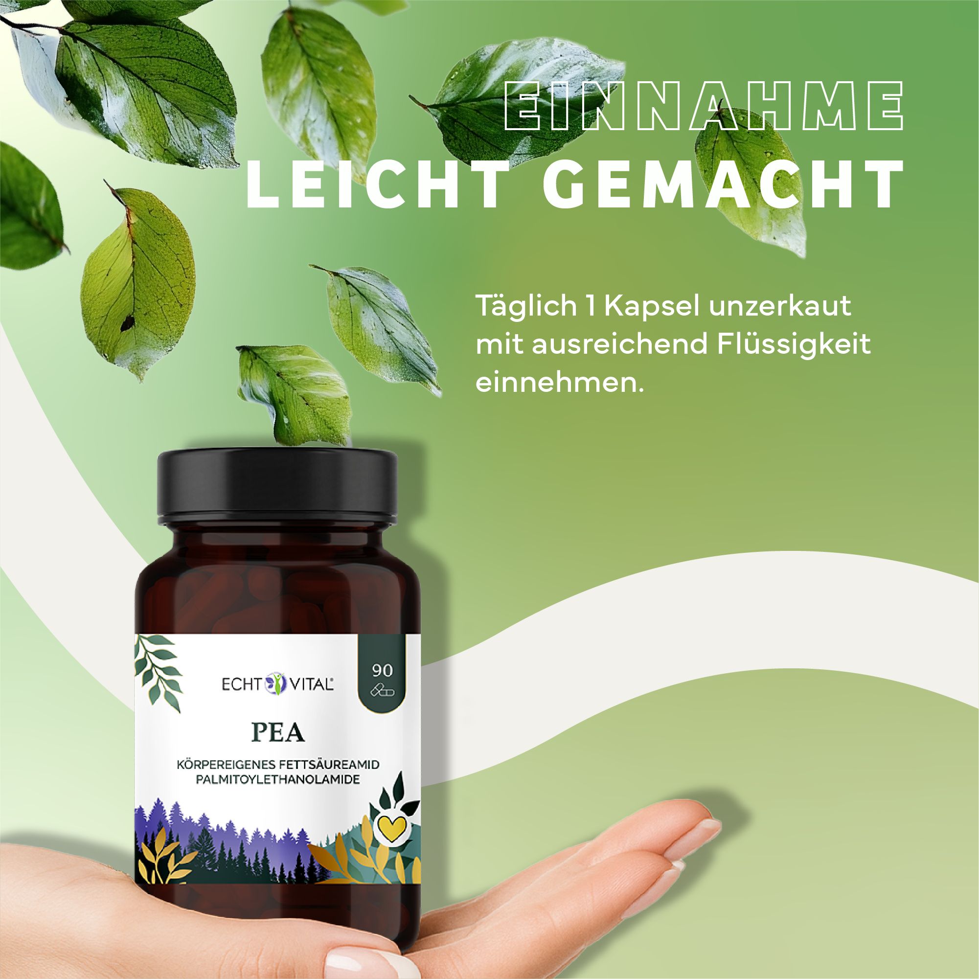 Braune Flasche mit schwarzem Deckel. Aufschrift: Echt Vital PEA. 90 Kapseln. Hand hält Flasche. Grüner Hintergrund.