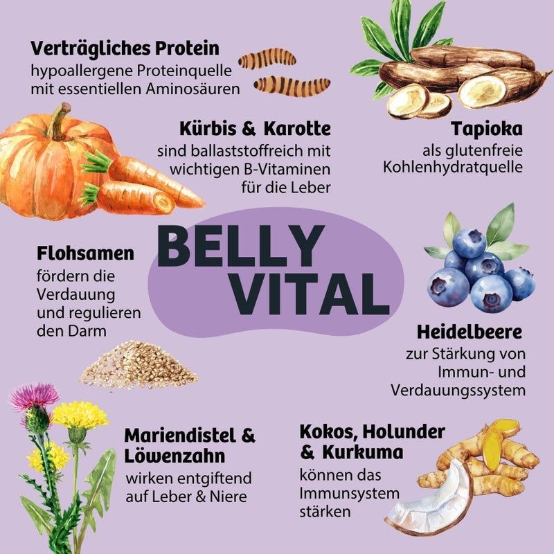 BugBell Hundekeks BellyVital  - Verdauung & Darmflora