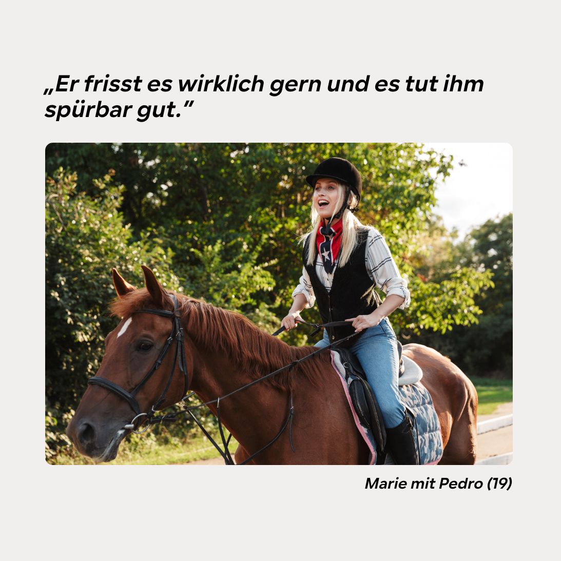 Gelenkpulver Senior HGMforte speziell für altes Pferd von Tierarzt Dr. Knoop