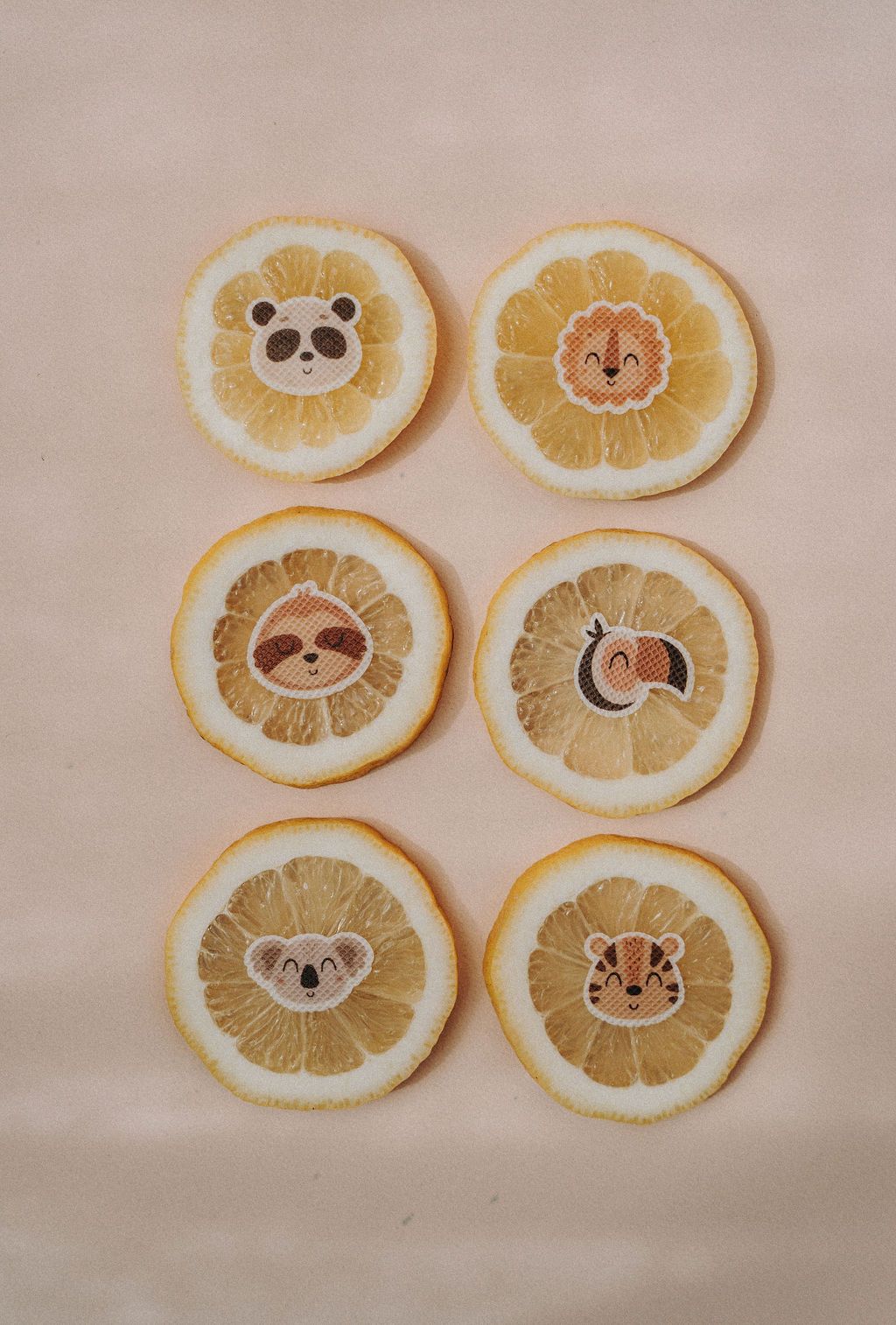 Sechs Zitronenscheiben mit Tiergesicht-Stickern. Panda, Löwe, Faultier, Tukan, Koala und Tiger. Auf rosa Untergrund angeordnet.