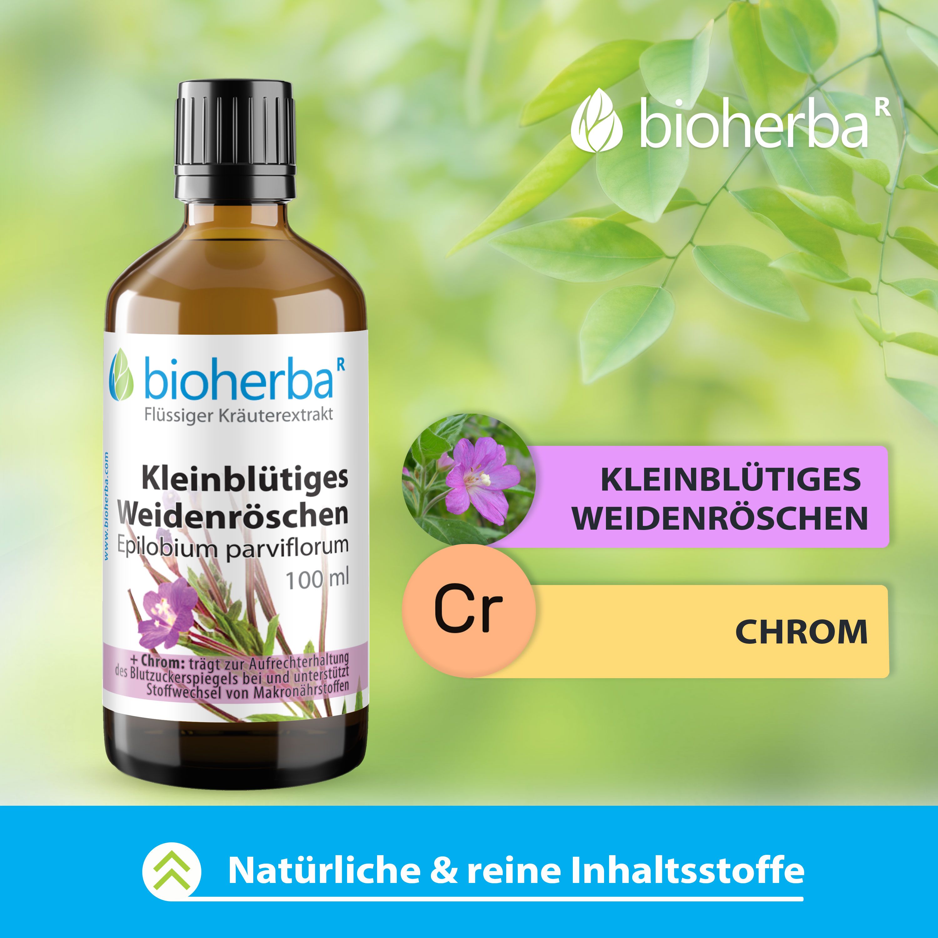 Bioherba Kleinblütiges Weidenröschen Tropfen Tinktur