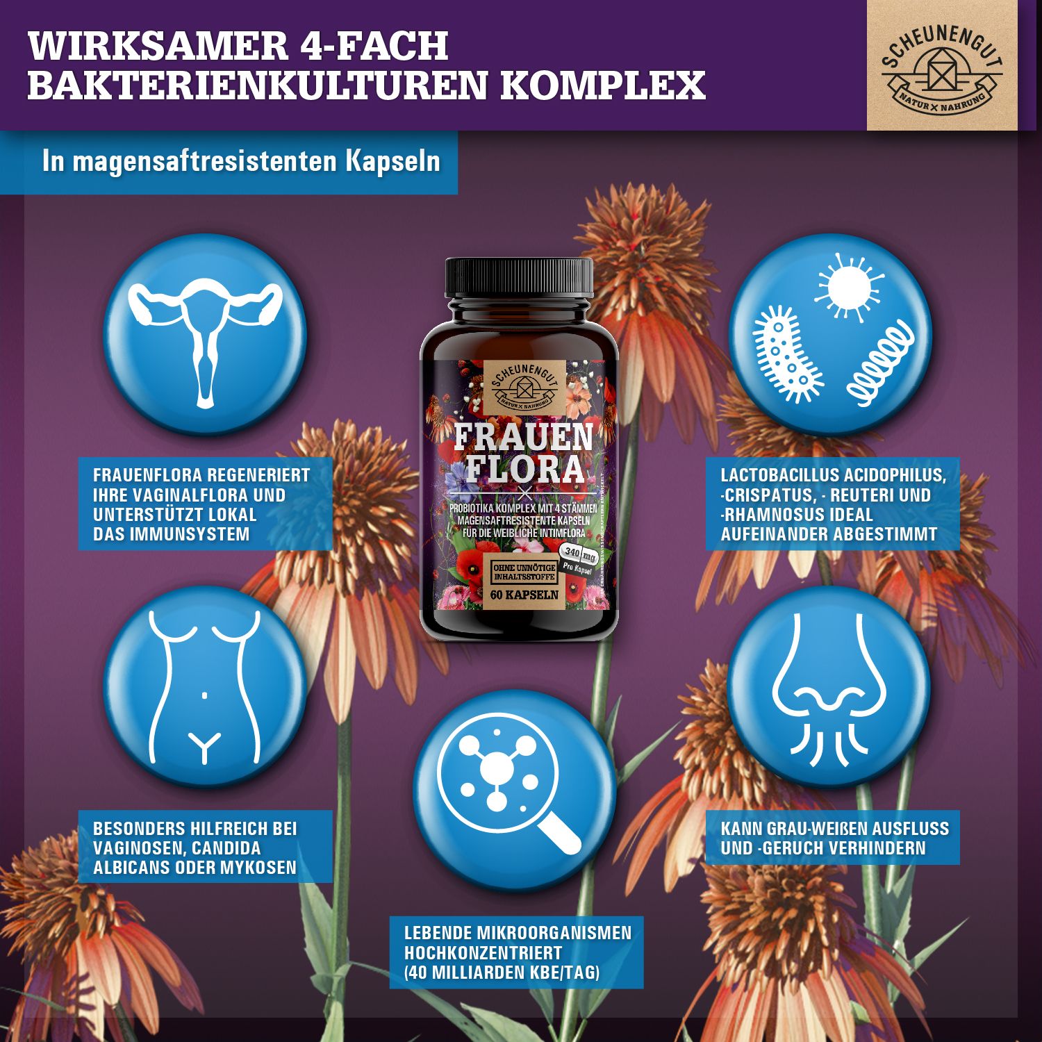 Scheunengut® FRAUENFLORA | Intimflora Komplex mit 4 Milchsäurebakterien | auch für den Akutfall
