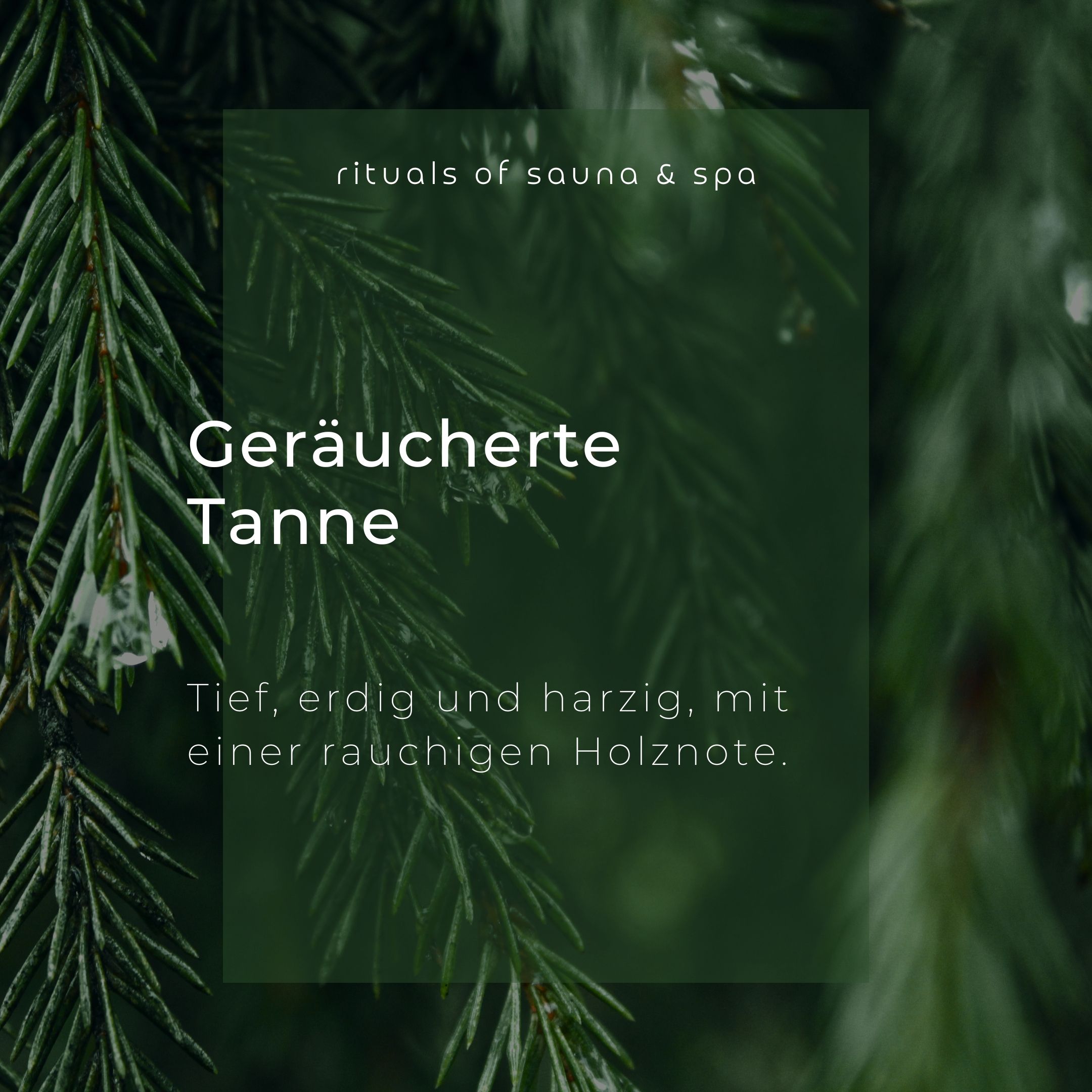 Wellow Sauna-Aufguss Geräucherte Tanne