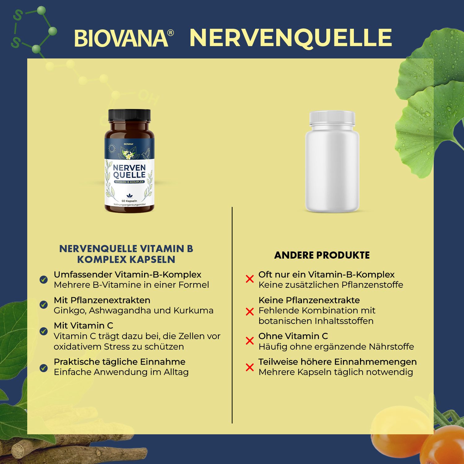 Nervenquelle Vitamin B Komplex