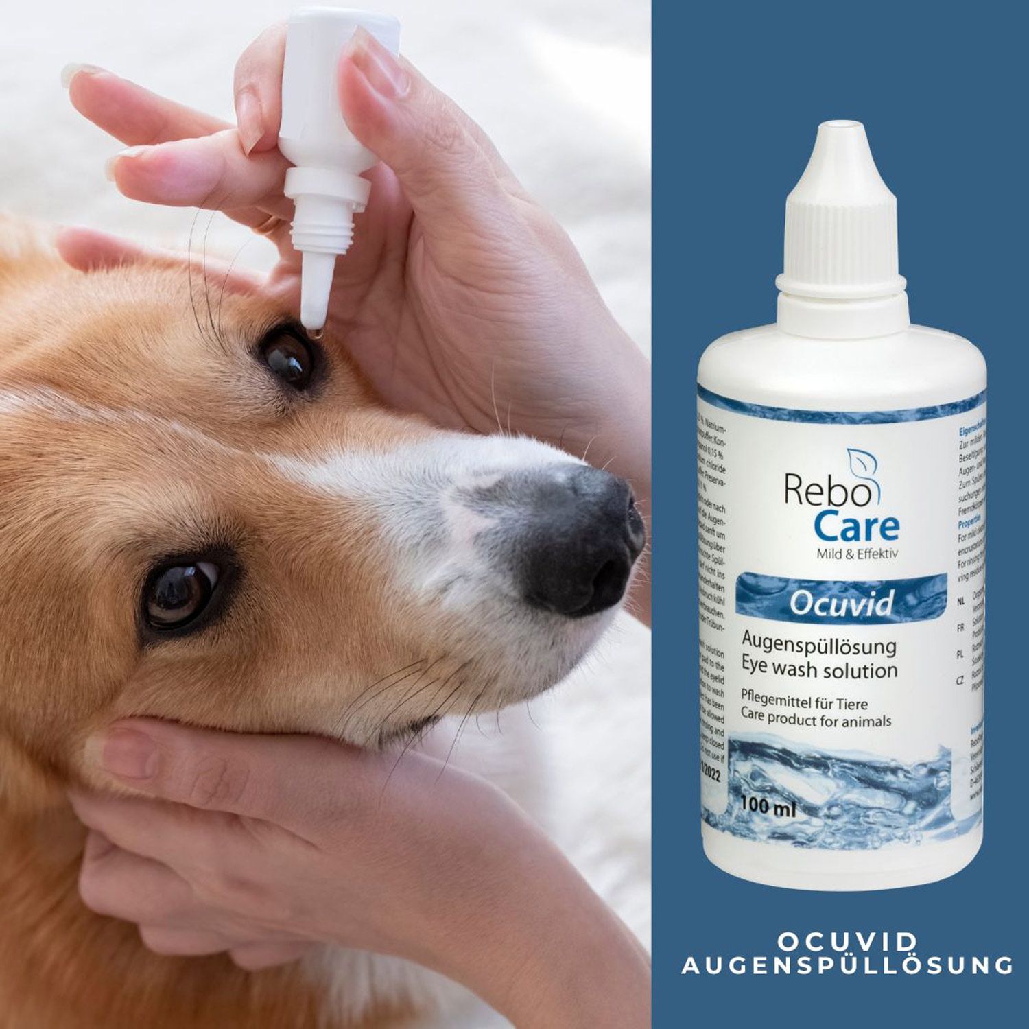 reboVet ReboCare Ocuvid Augenspüllösung