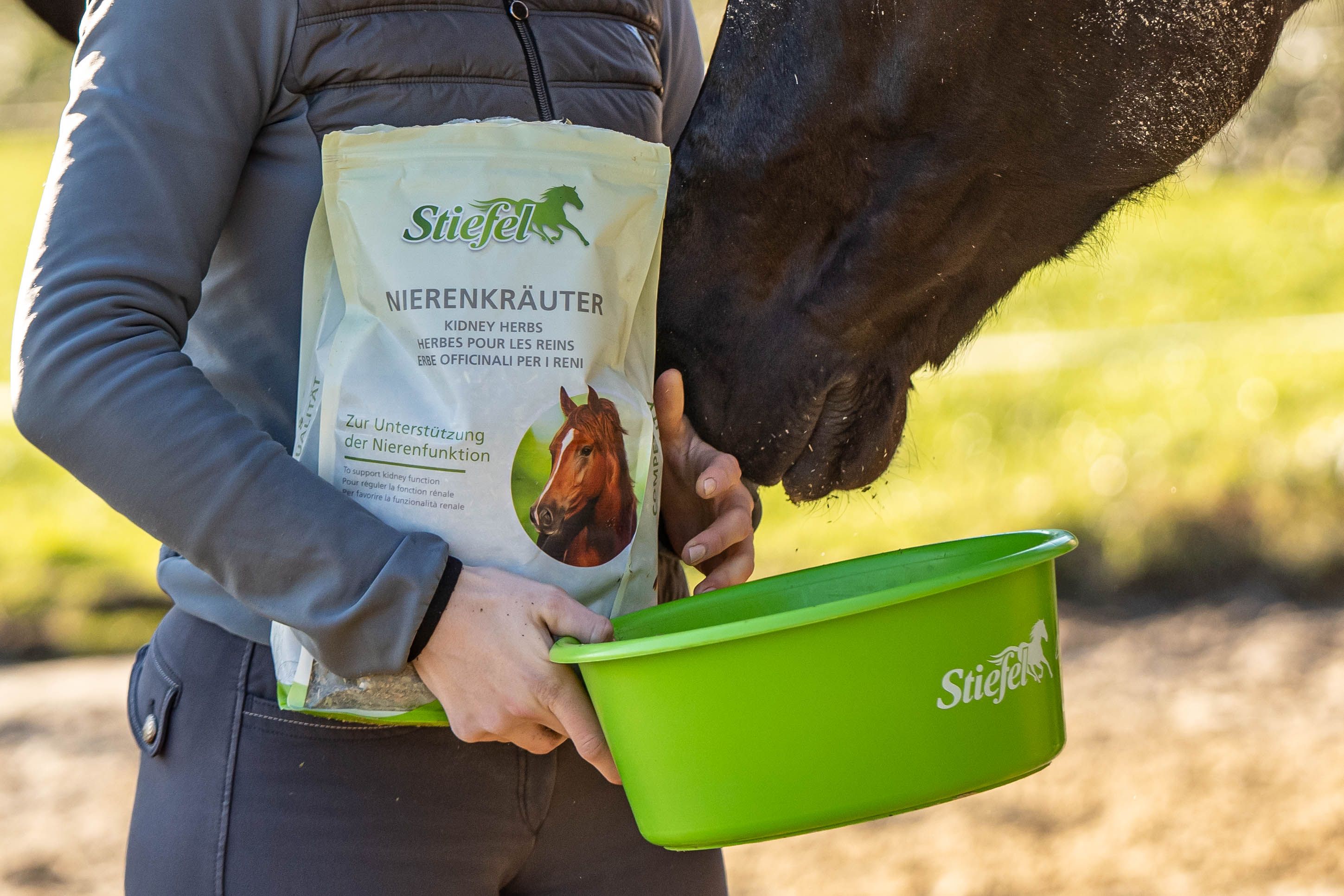 Person hält einen Beutel Stiefel Nierenkräuter und eine grüne Schüssel. Aufschrift: Kidney Herbs. Ein Pferd berührt den Beutel.