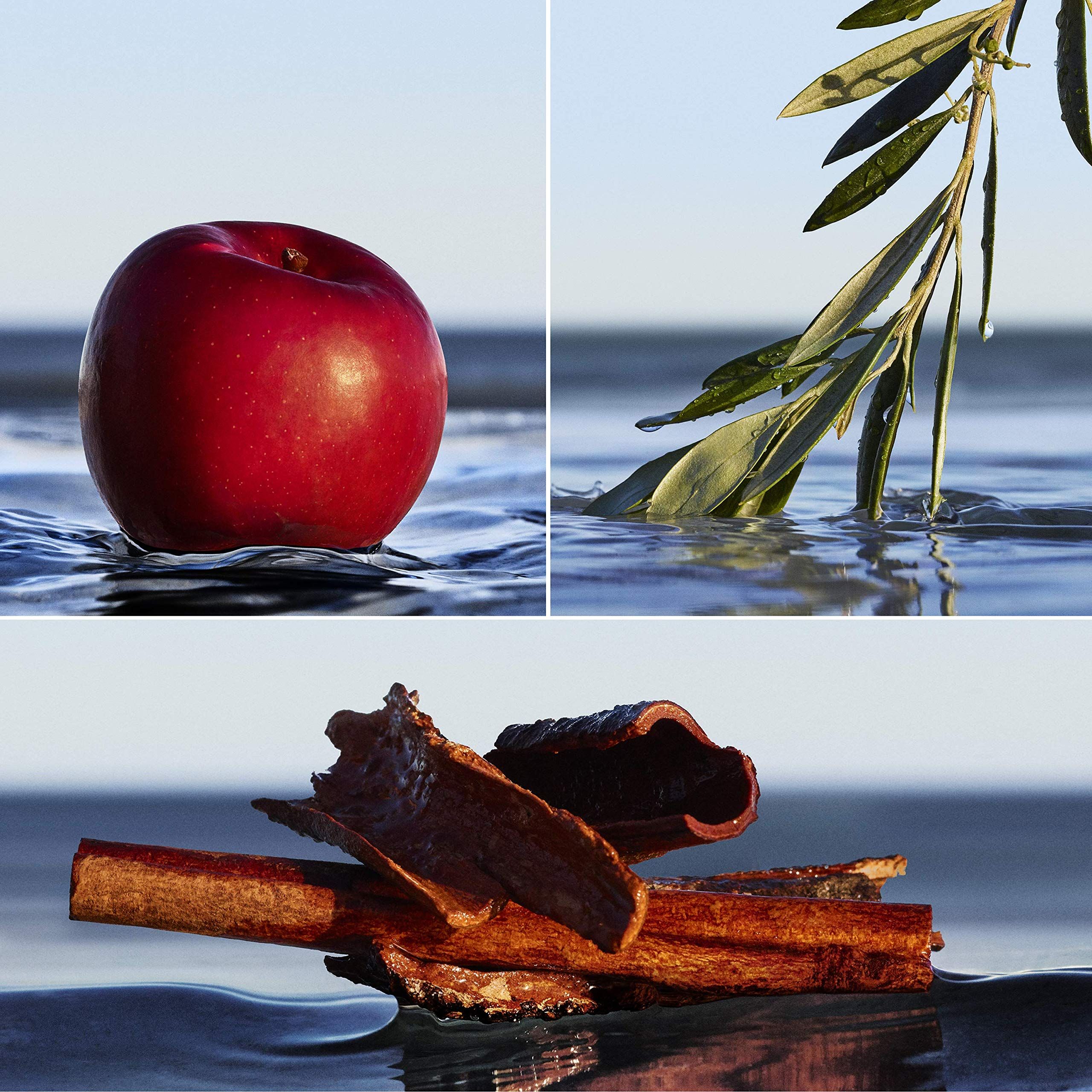 Drei Bilder: Apfel, Olivenzweig, Zimtstangen im Wasser. Hintergrund: Meer und Himmel.