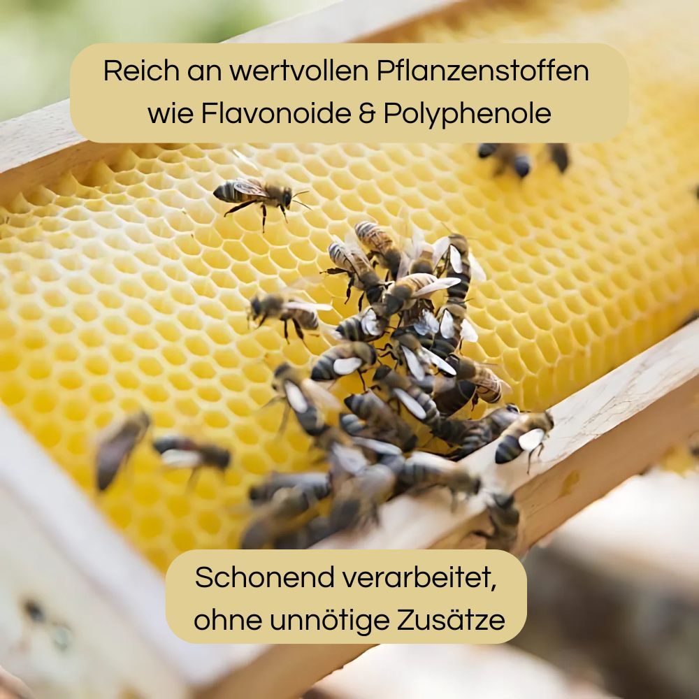 Bienen auf Wabe. Text: Reich an wertvollen Pflanzenstoffen wie Flavonoide & Polyphenole. Schonend verarbeitet, ohne unnötige Zusätze.