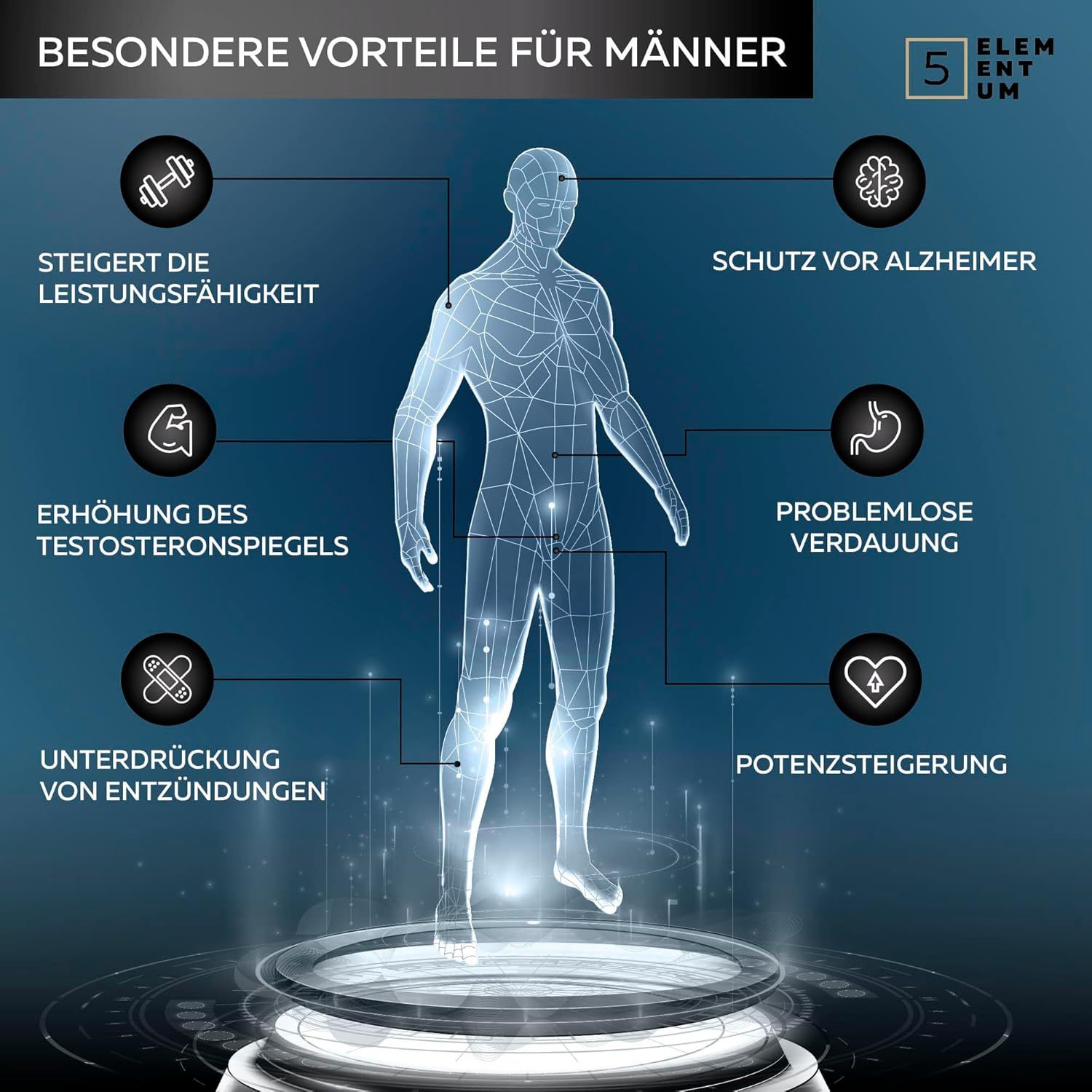 5Elementum Shilajit Harz