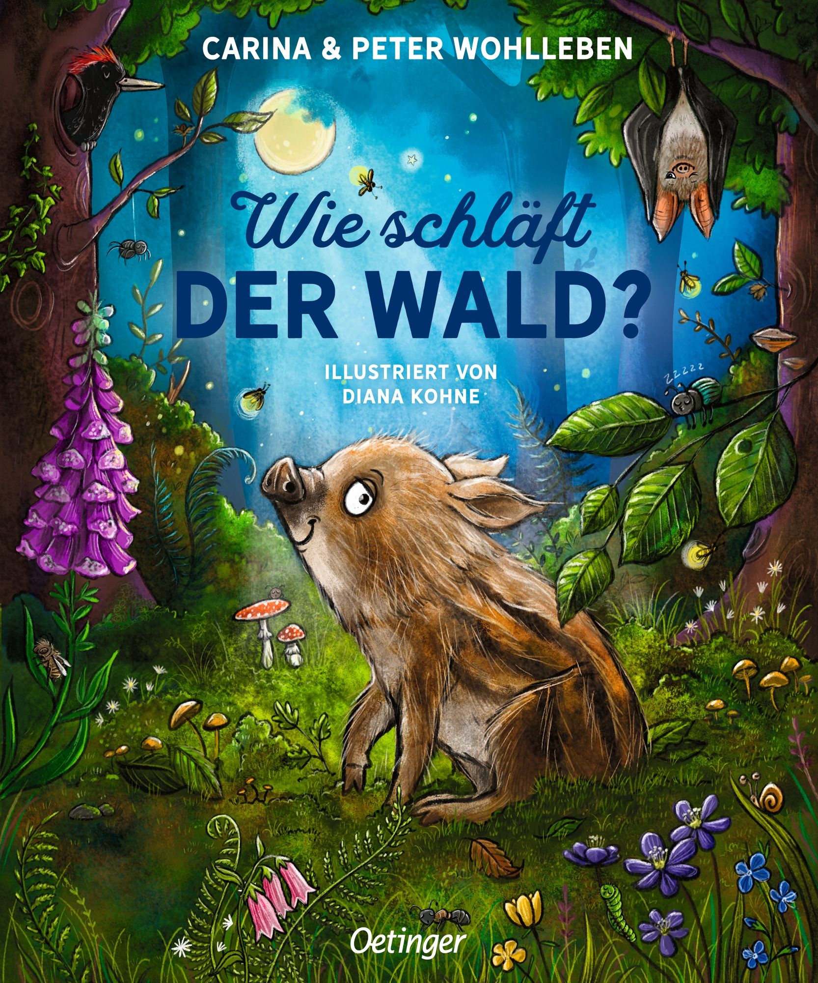 Buchcover: Titel "Wie schläft der Wald?" mit Illustrationen von Diana Kohne. Wildschwein, Wald, Mond.