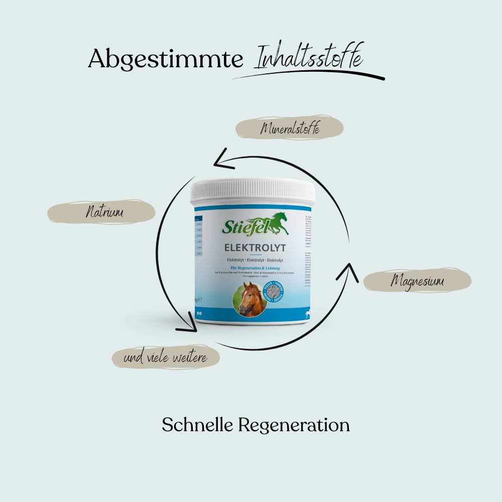 Weißes Produktglas mit Etikett. Text: Stiefel Elektrolyt, Mineralstoffe, Natrium, Magnesium. Abbildung eines Pferdes.