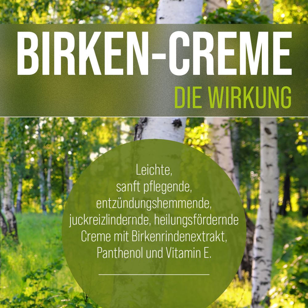 Beschreibung der Birken-Creme: leicht, pflegend, entzündungshemmend, juckreizlindernd, heilungsfördernd.