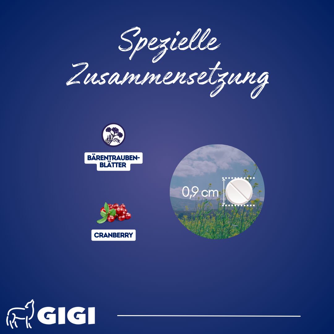 GIGI VET Harn & Blase
