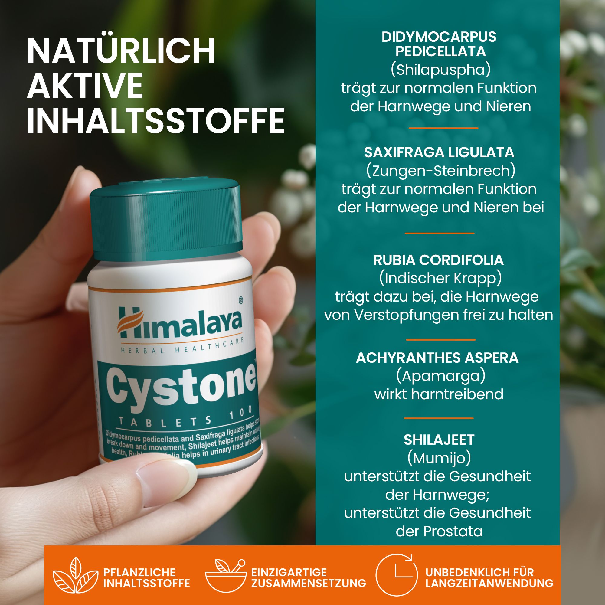 Hand hält Himalaya Cystone Tablettenflasche neben Liste natürlicher Inhaltsstoffe.