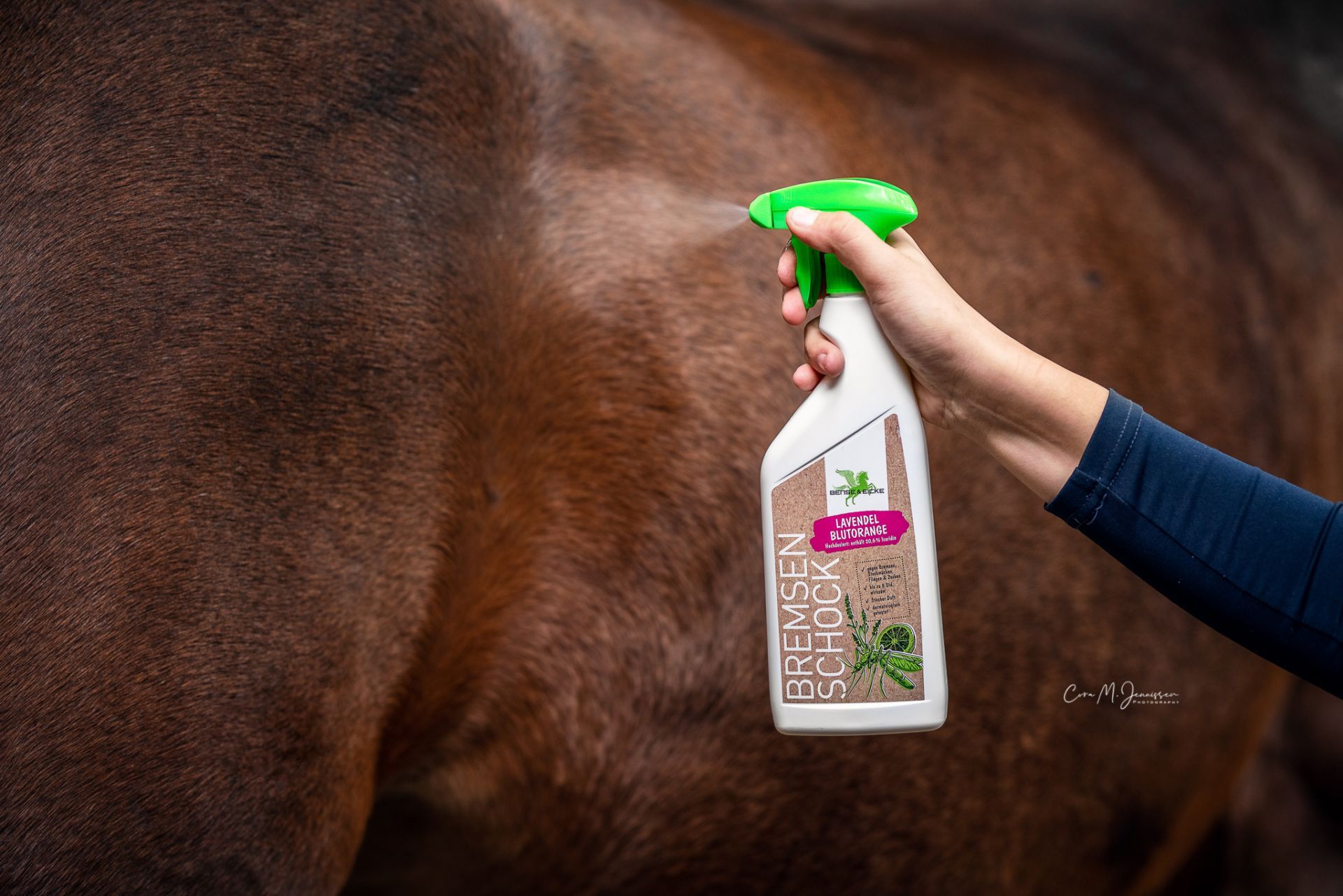Bense & Eicke BremsenSchock SOMMEREDITION
