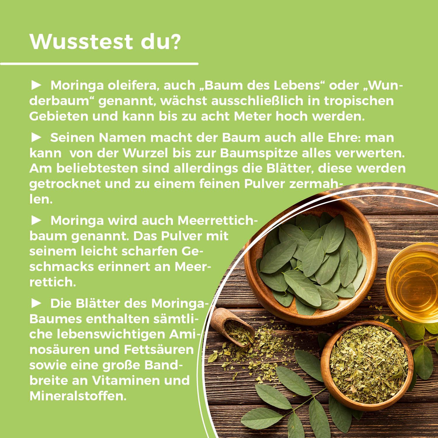 Holzschalen mit Blättern, Pulver und Flüssigkeit. Text mit Informationen über Moringa. Hintergrund: Holzoberfläche.