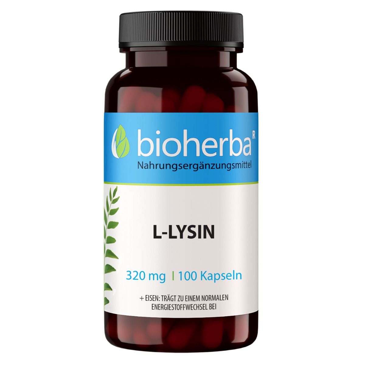 L-Lysin 320 mg 100 Kapseln PZN 19642184