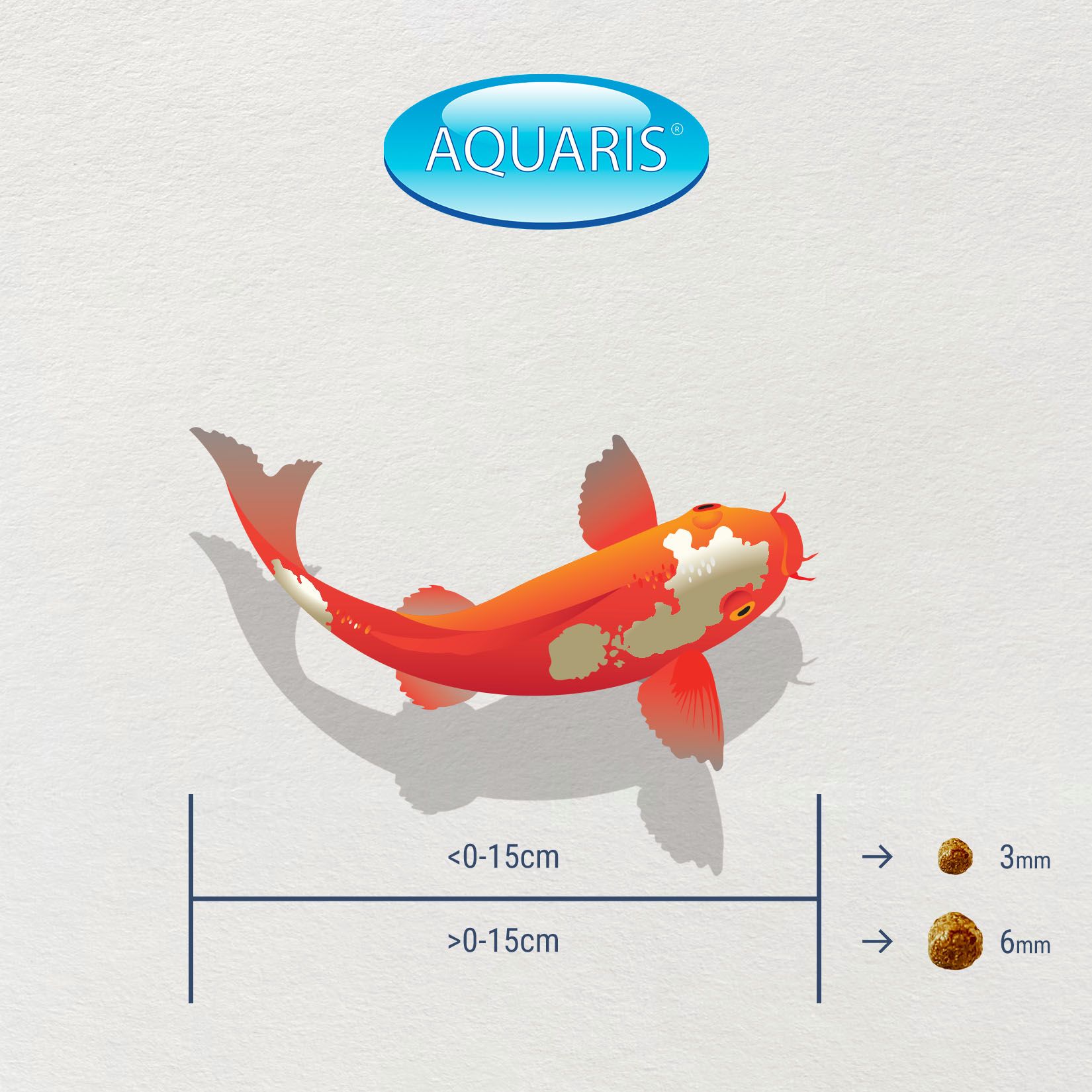 Illustration eines Koi-Fisches neben einer Größenskala für 3mm und 6mm Futterpellets.