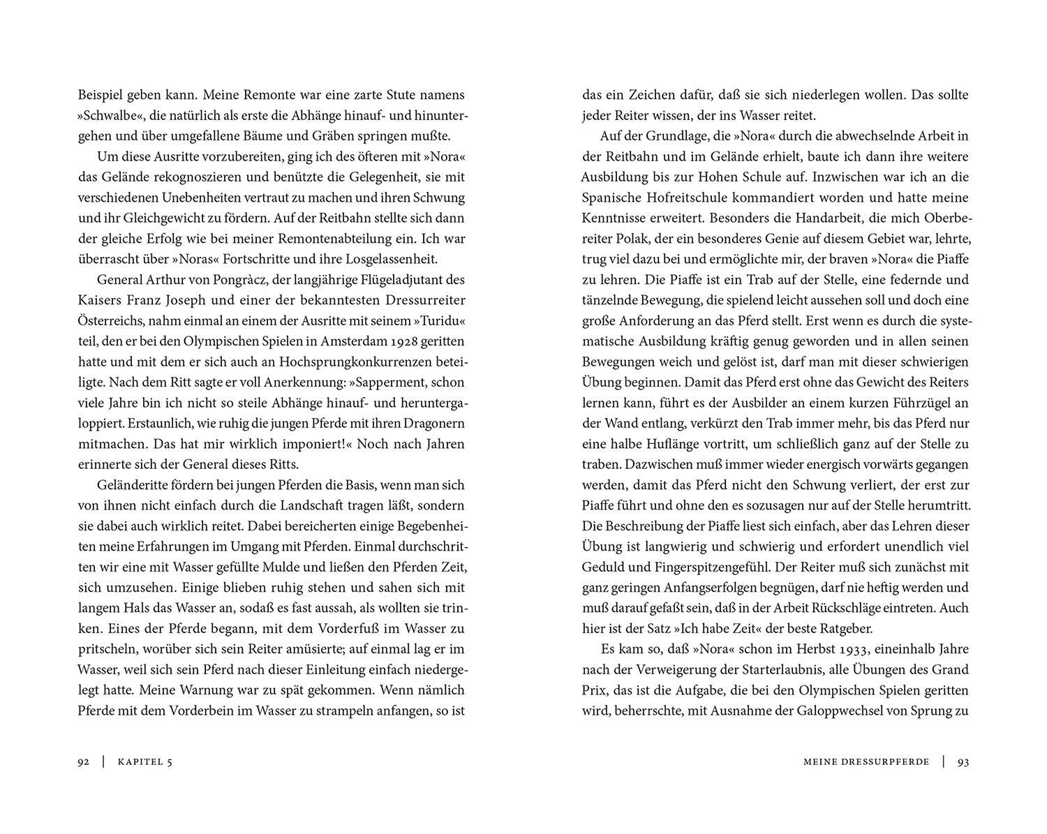 Meine Lehrmeister die Pferde