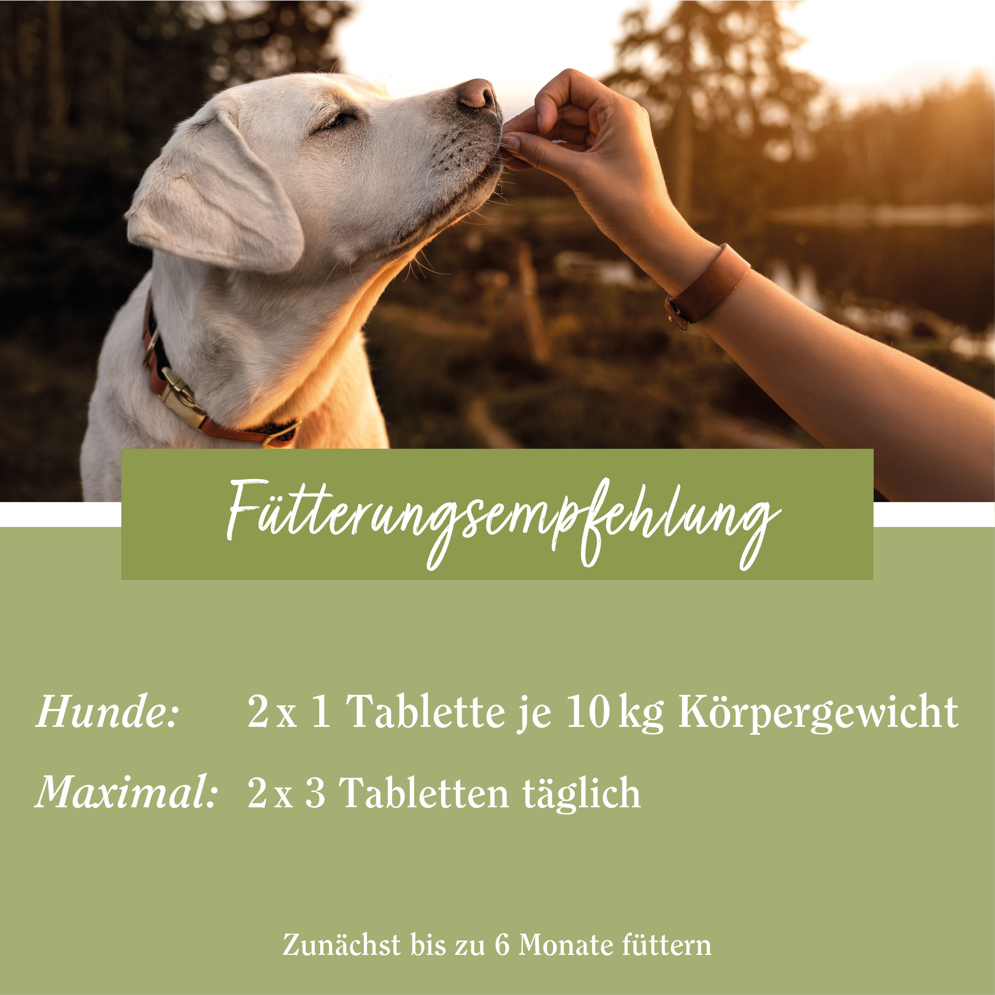 Sanct Bernhard tierlieb Herz-Kreislauf Tabletten für Hunde