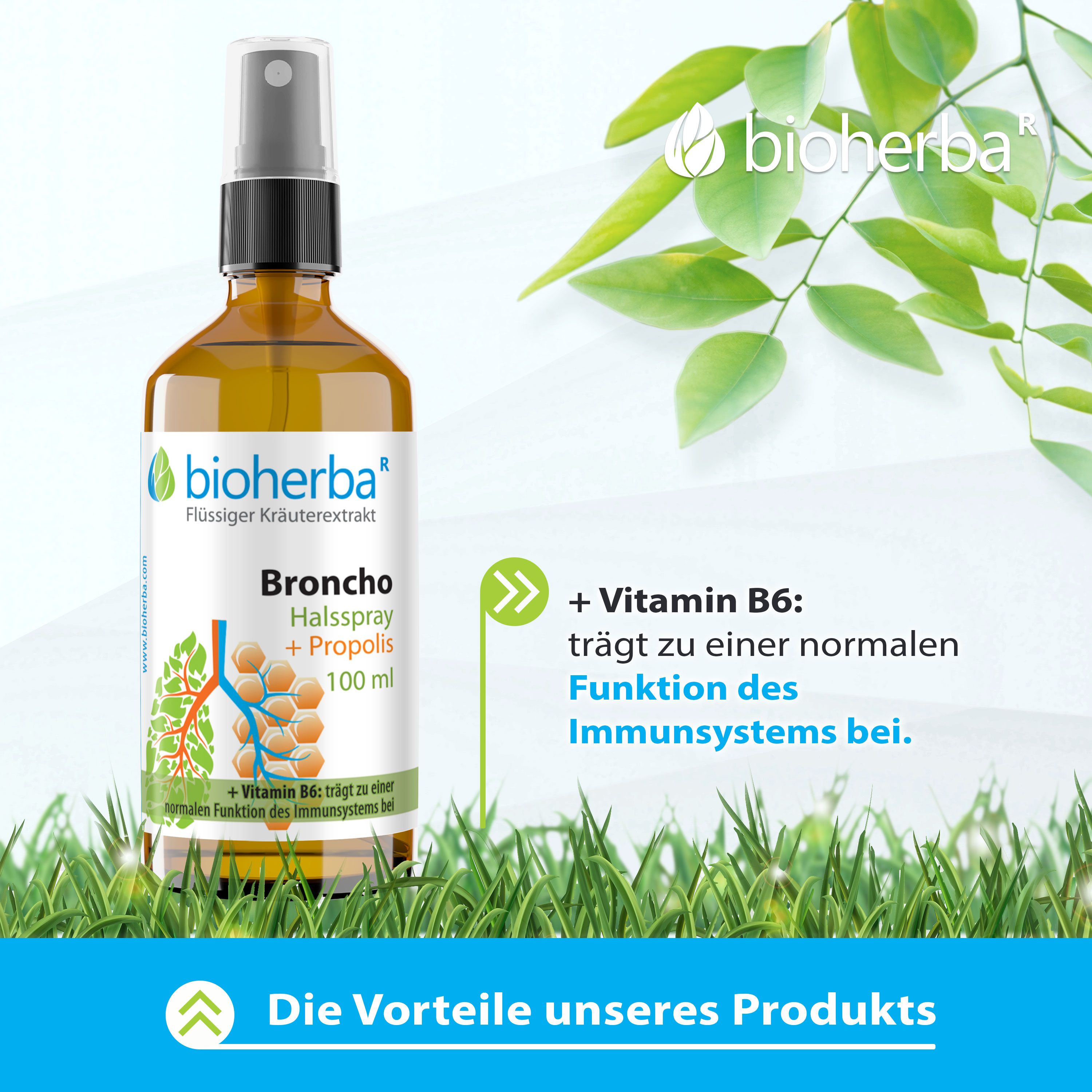 Bioherba Halsspray Broncho mit Propolis Extrakt