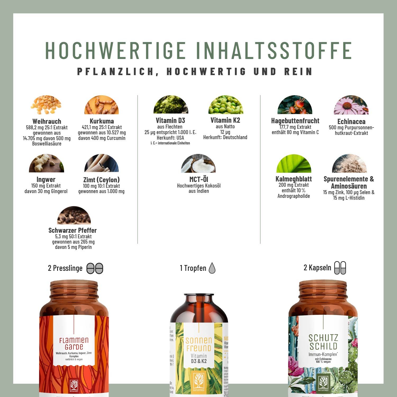 Infografik mit Inhaltsstoffen. FLAMMENGARDE, SONNENFREUND, SCHUTZSCHILD. Kapseln und Tropfen. Pflanzlich, hochwertig und rein.