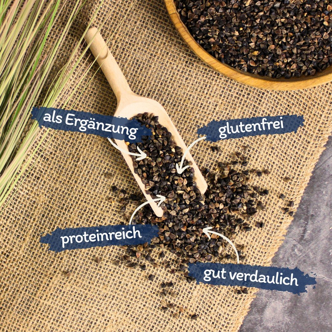Lyra Pet® Buchweizen