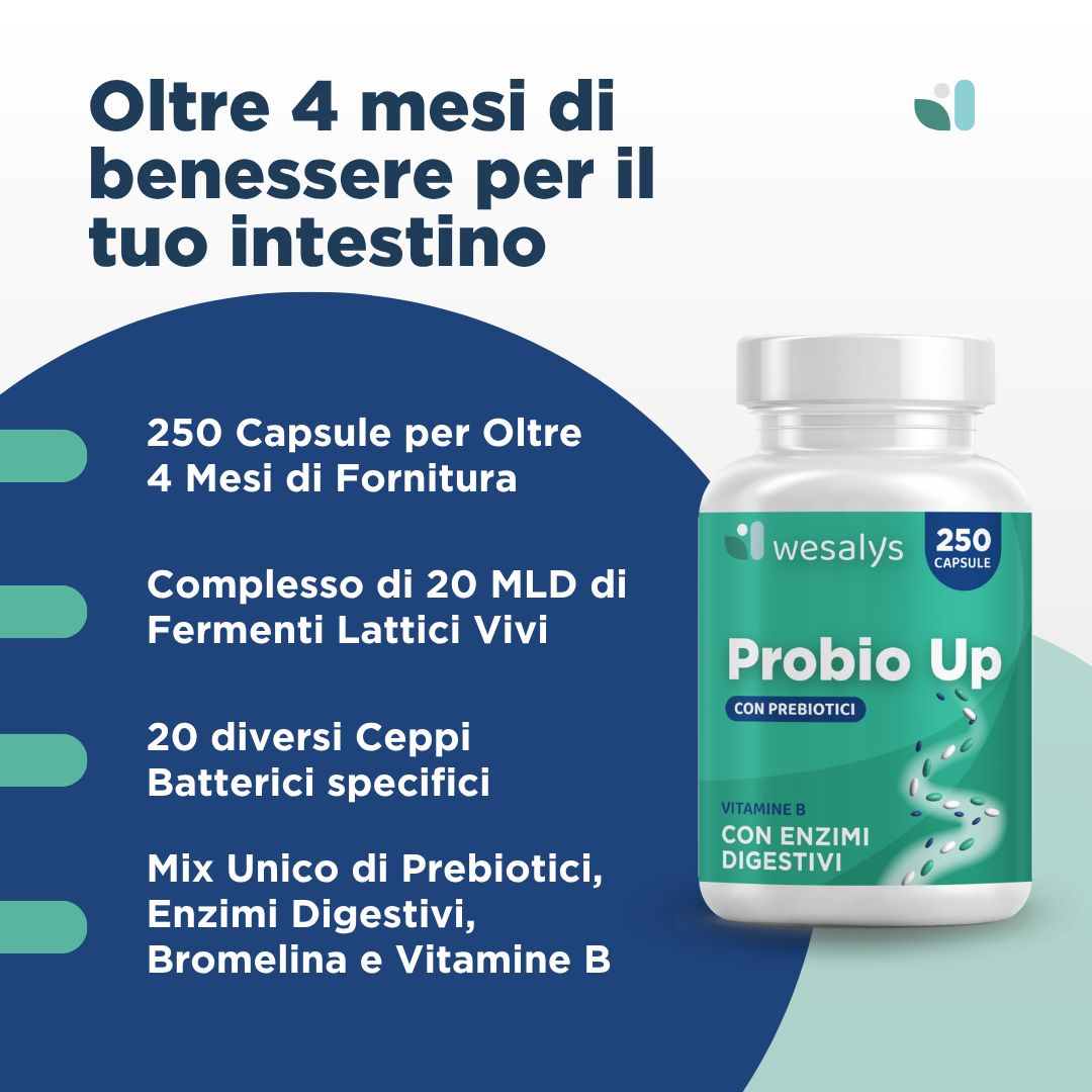 Flasche Probio Up. Text: Über 4 Monate Darmwohlbefinden. 250 Kapseln, lebende Bakterien, Präbiotika.