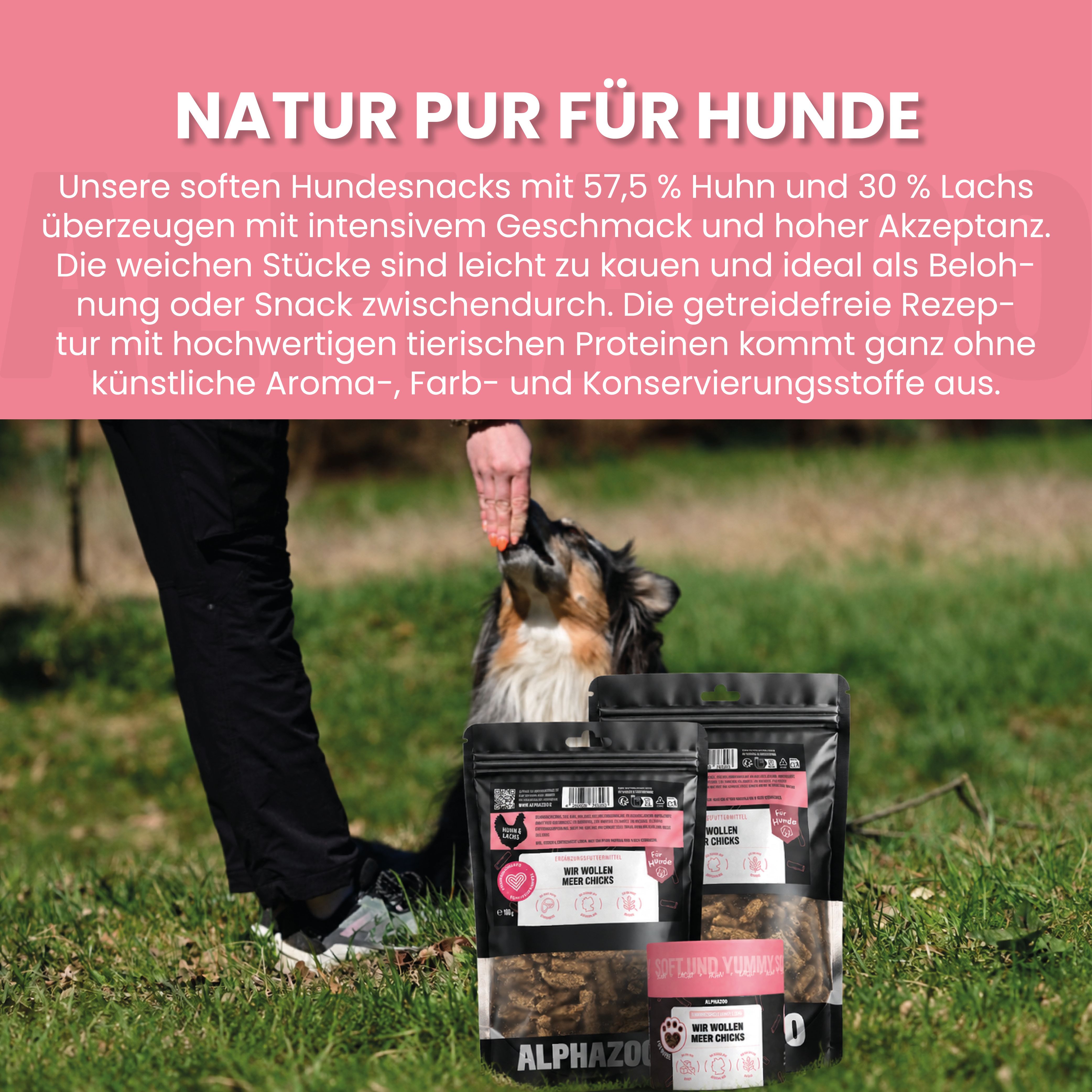 Zwei schwarze Beutel mit Hundeleckerlis, ein kleinerer und ein größerer, mit rosa Etiketten. Ein Hund frisst aus einer Hand.