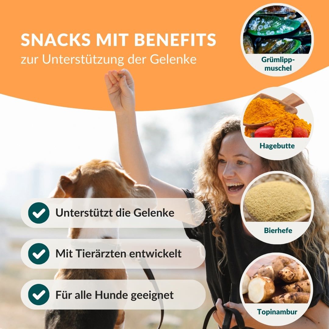 vetevo Flexi Bites Hund