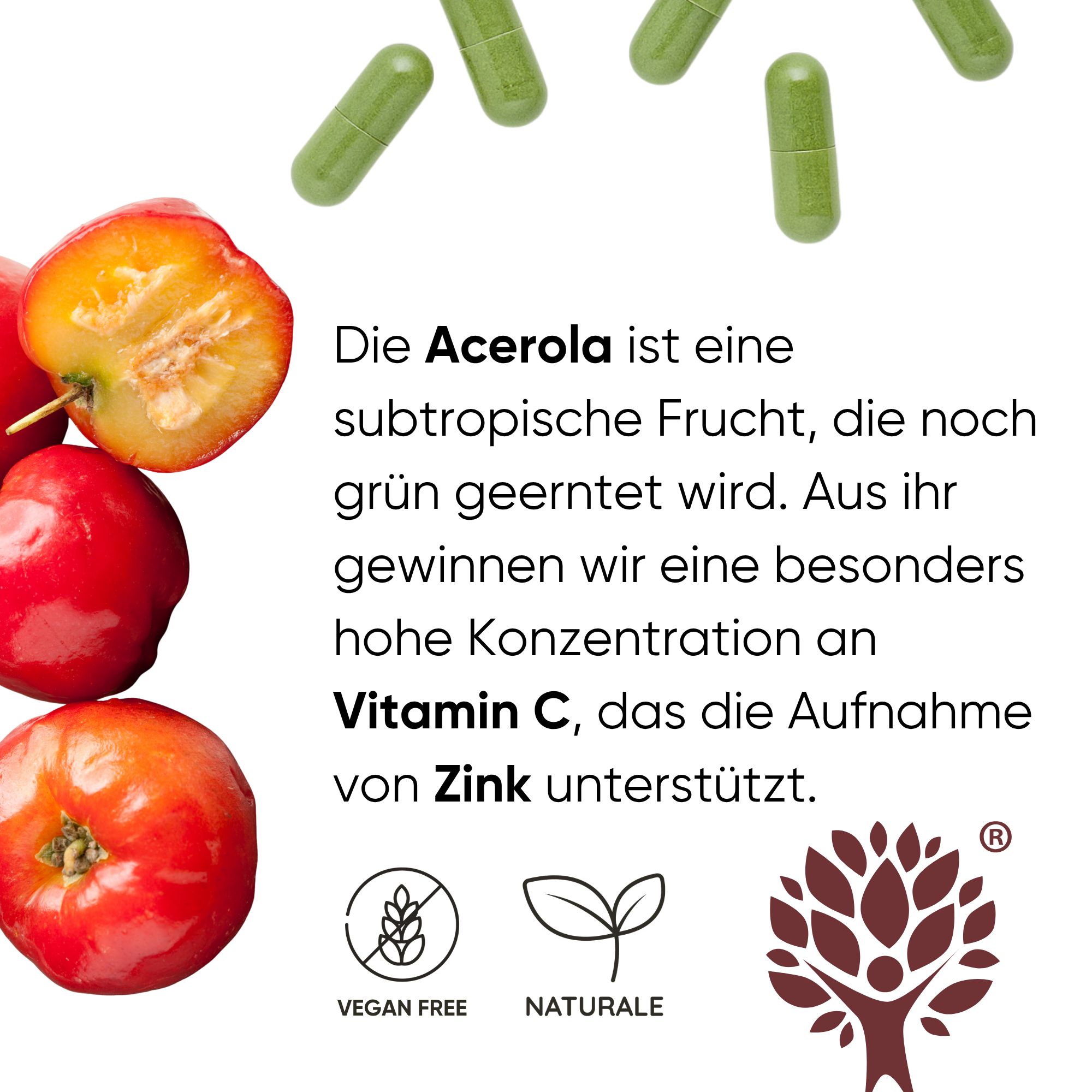 Flasche mit Kapseln auf einem Kreis. "Moringa Acerola e Zinco", "Difese Immunitarie".