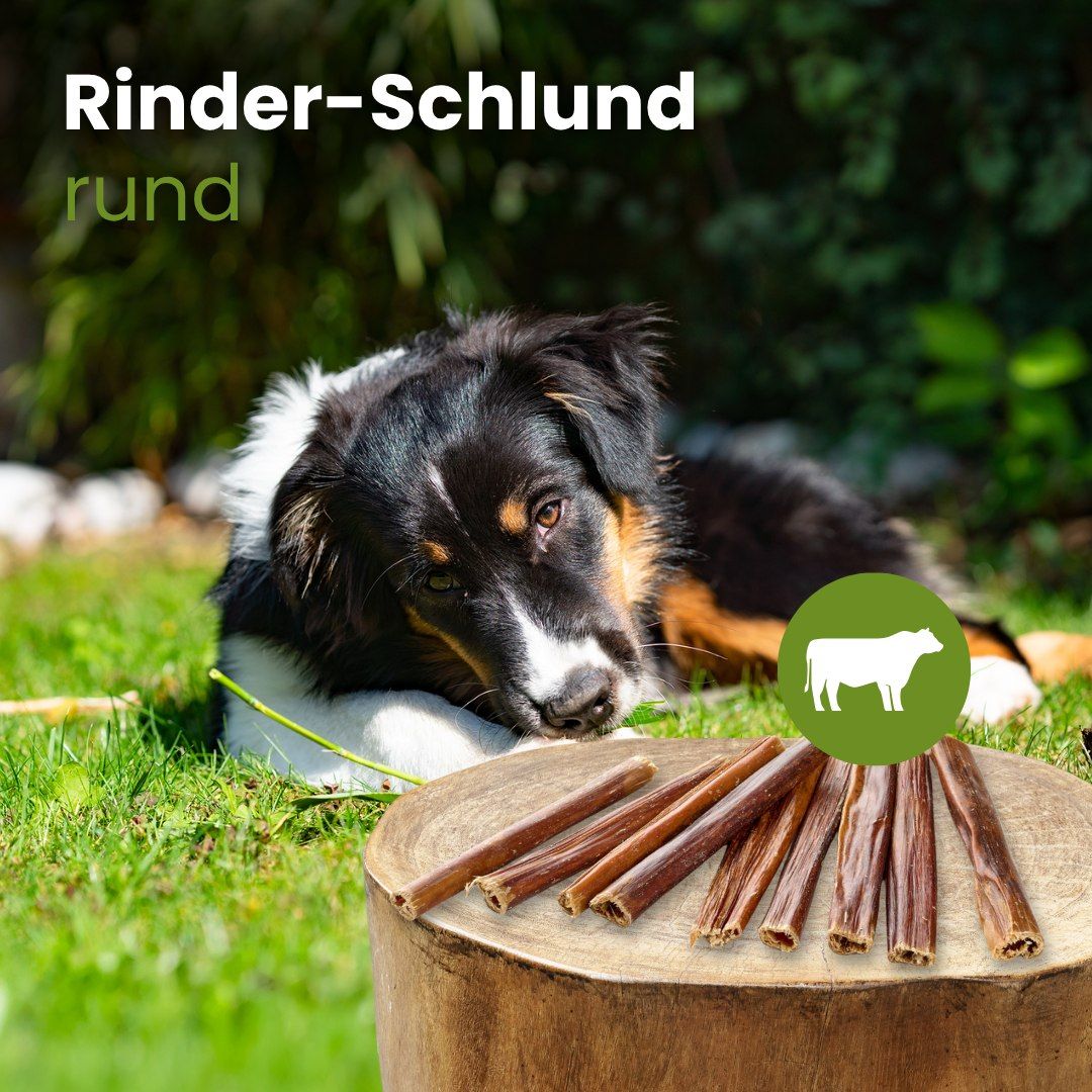 Hund liegt auf Gras neben einem Holzstamm mit Rinderlungen-Sticks und Rinder-Symbol.