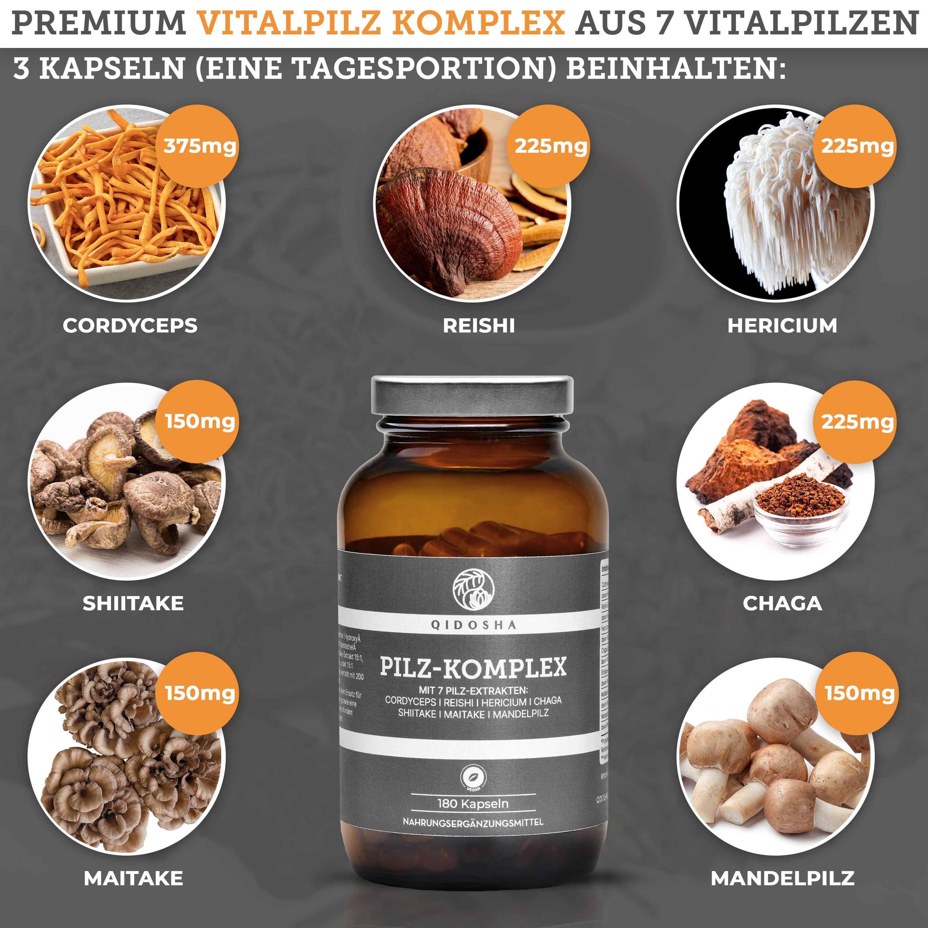 QIDOSHA Pilz Komplex