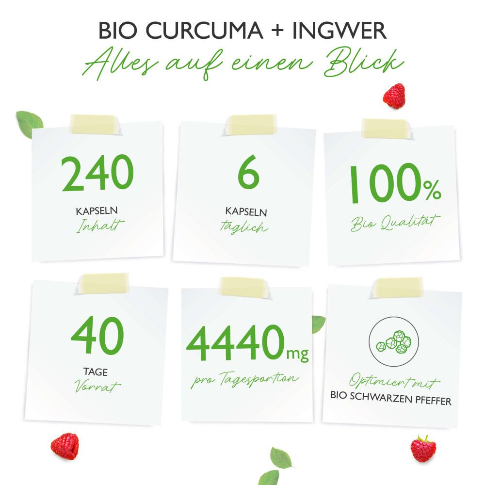 Infografik mit Zahlen: 240 Kapseln, 6 Kapseln täglich, 100% Bio-Qualität, 40 Tage Vorrat, 4440mg pro Tagesportion.