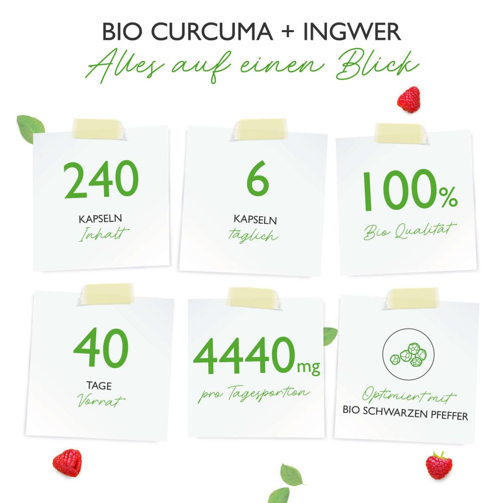 vit4ever Bio Curcuma & Ingwer 240 St Kapseln