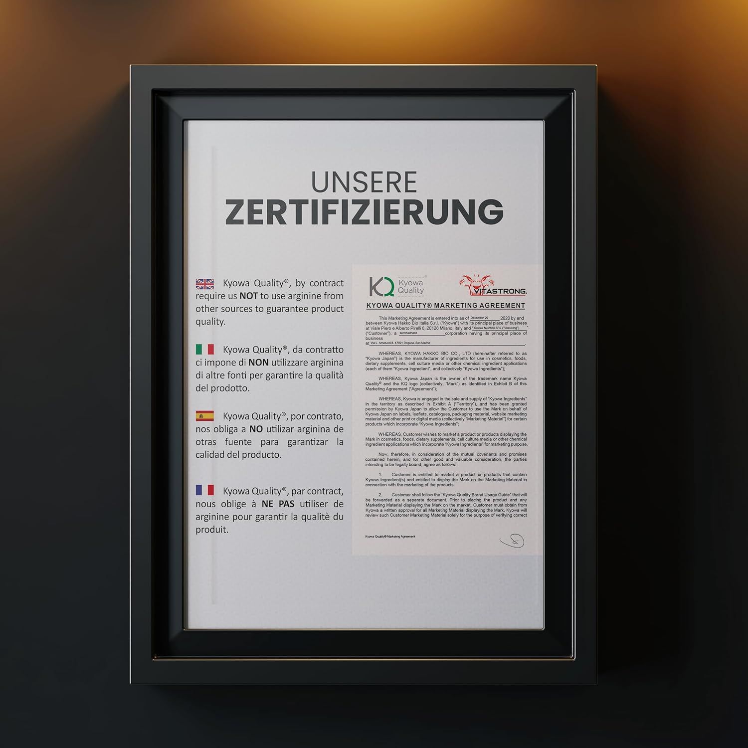 Gerahmtes Zertifizierungsdokument. Text: Kyowa Quality, Vitastrong Marketing Agreement. Mehrsprachige Erklärungen.