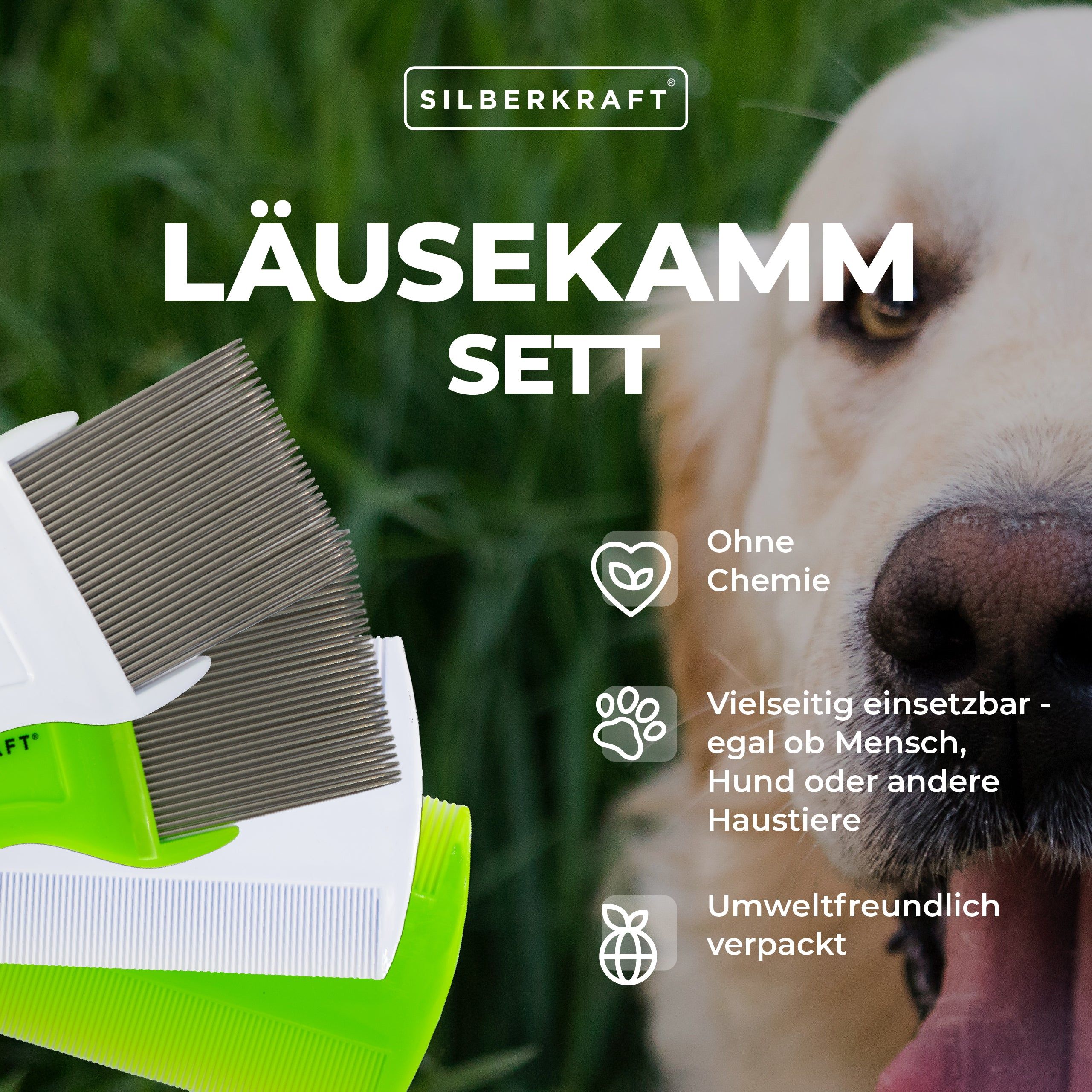 Silberkraft Läusekamm Set 4 St Kamm