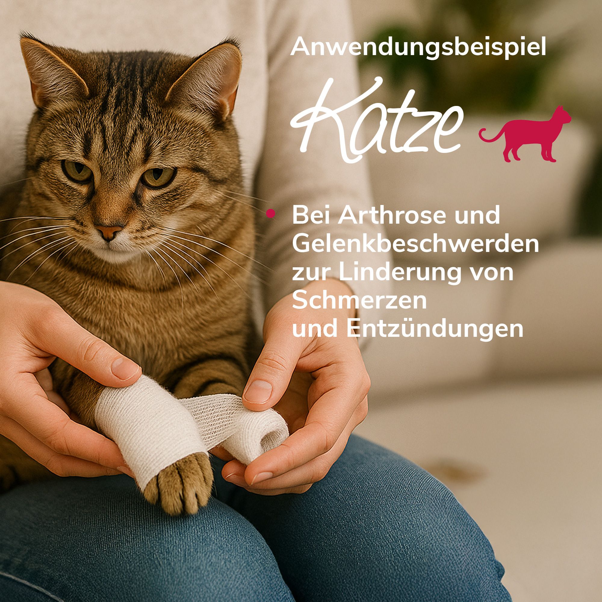Hände wickeln einen Verband um die Pfote einer Katze. Text: Anwendungbeispiel Katze.