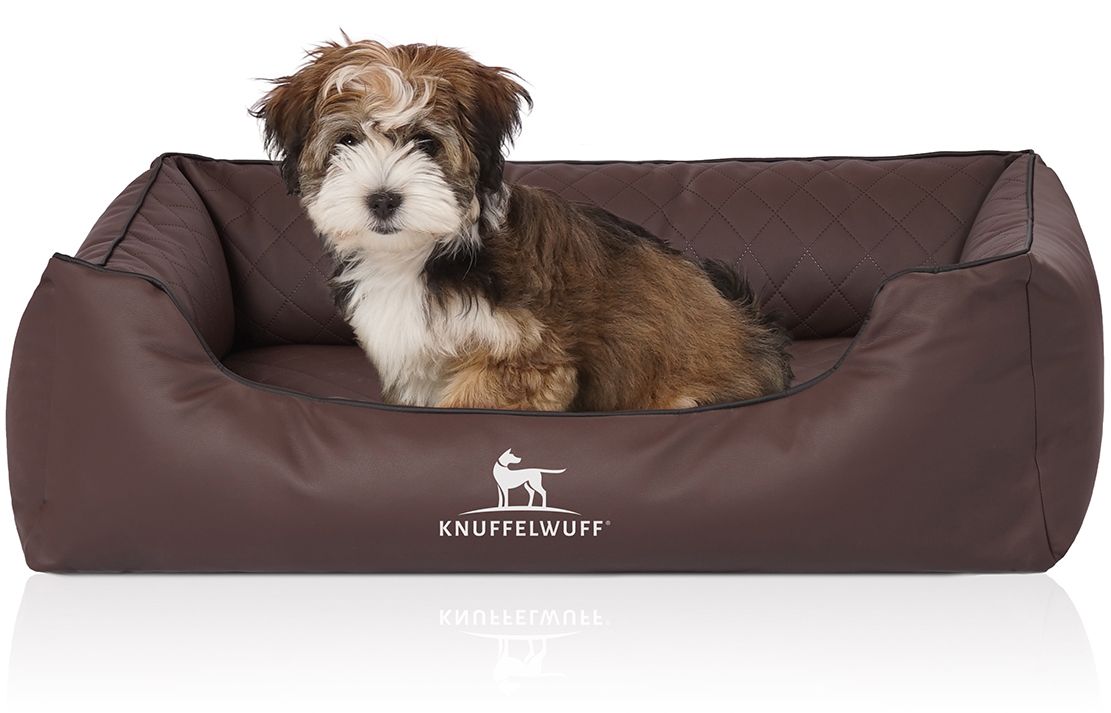 Braunes Hundebett mit Hund. Gesteppte Liegefläche, erhöhtem Rand. Logo: Knuffelwuff. Hund: Helles Fell.