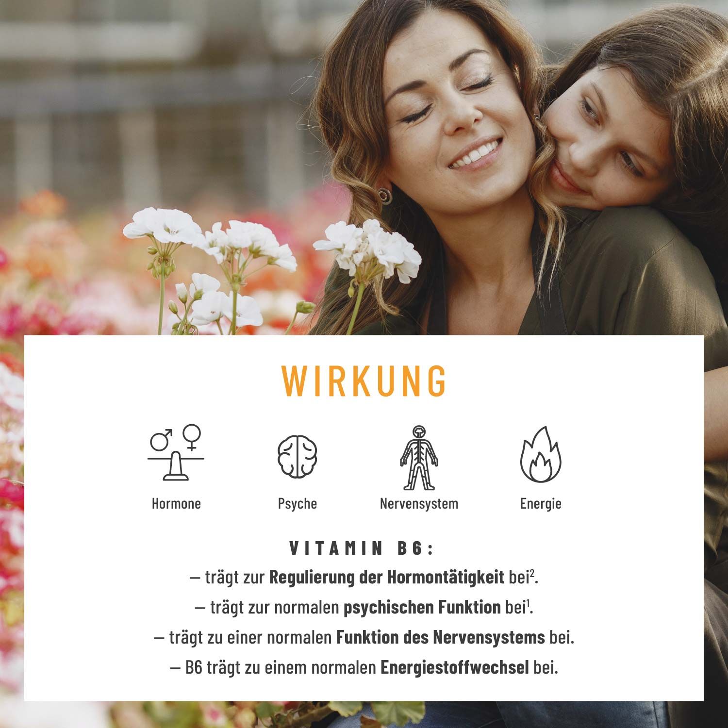 Symbole für Wirkung: Hormone, Psyche, Nervensystem, Energie. Vitamin B6-Vorteile.