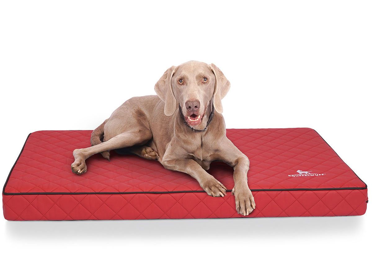 Rote Hundematte mit Rautenmuster. Ein Hund liegt auf der Matte. Knuffelwuff-Logo rechts unten.