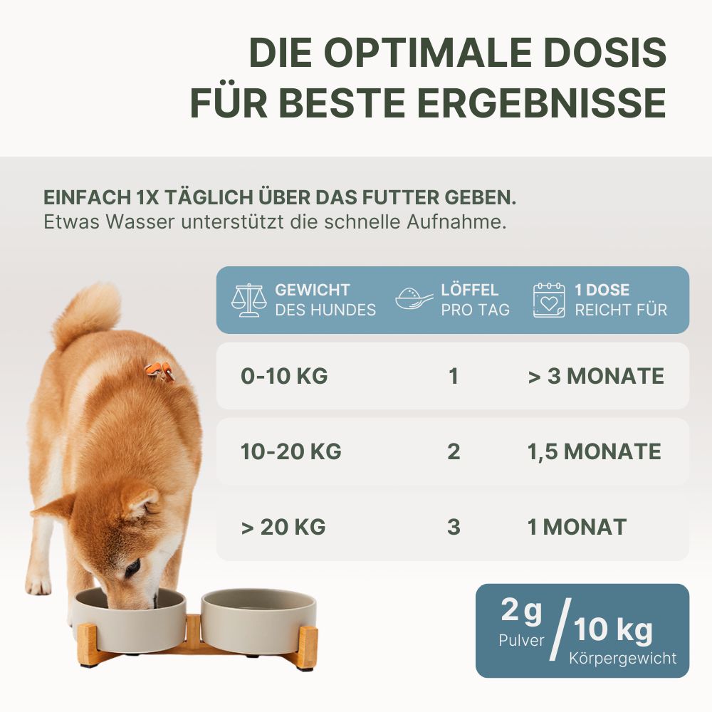 Infografik: Dosierungsempfehlung. Gewicht des Hundes, Löffel pro Tag, reicht für Monate. Hund isst aus Futternapf.