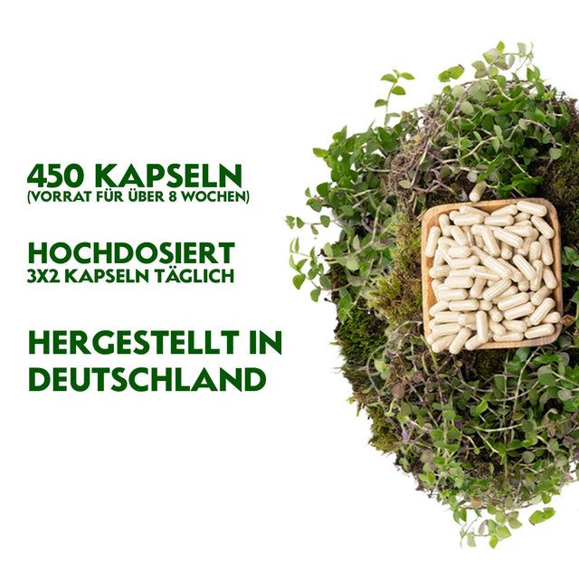RheinNatur Bio Flohsamenschalen Kapseln