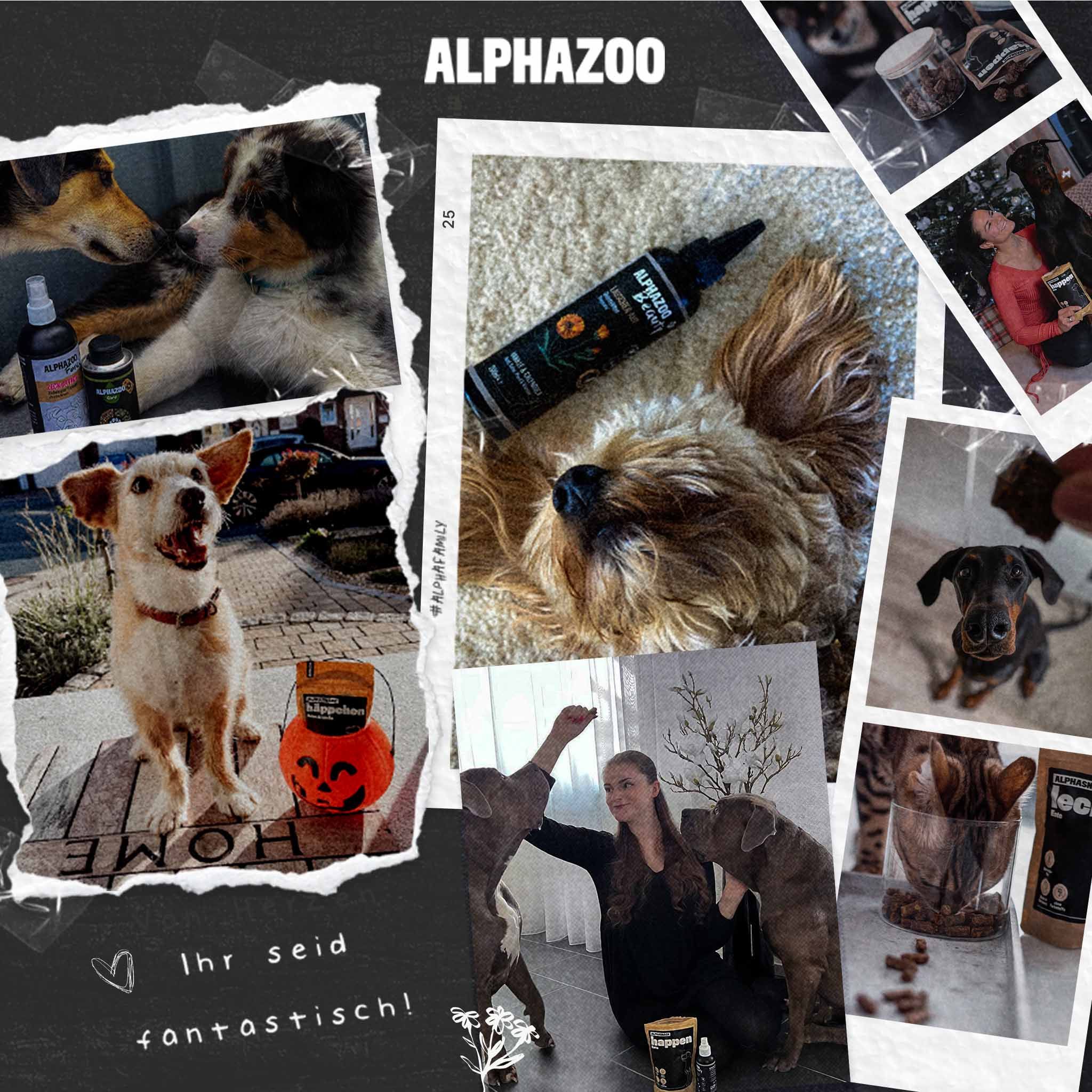 Collage. Hunde mit Produkten. Text: ALPHAZOO. Ihr seid fantastisch!