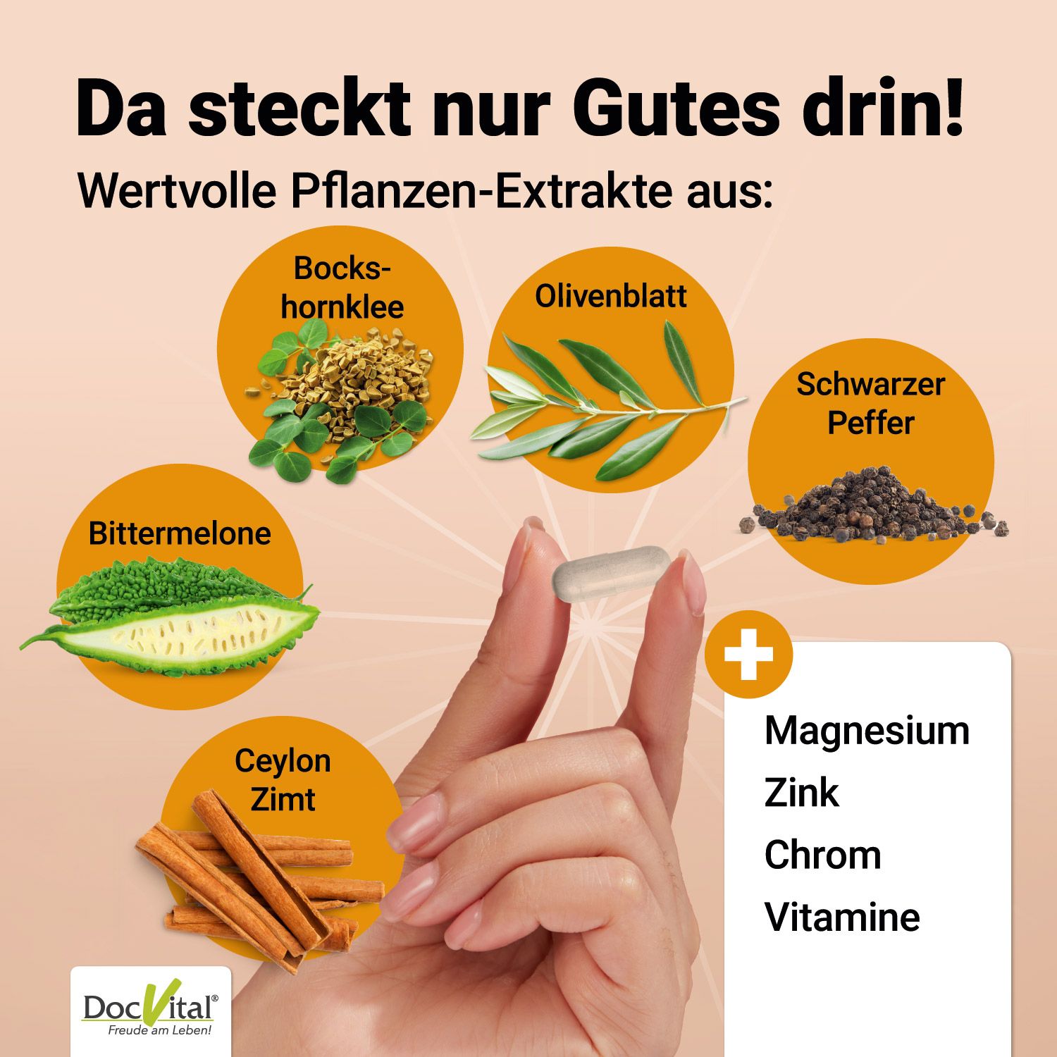Blutzucker Komplex 60 vegane Kapseln mit u.a. Ceylon Zimt, Chrom, Magnesium DocVital®