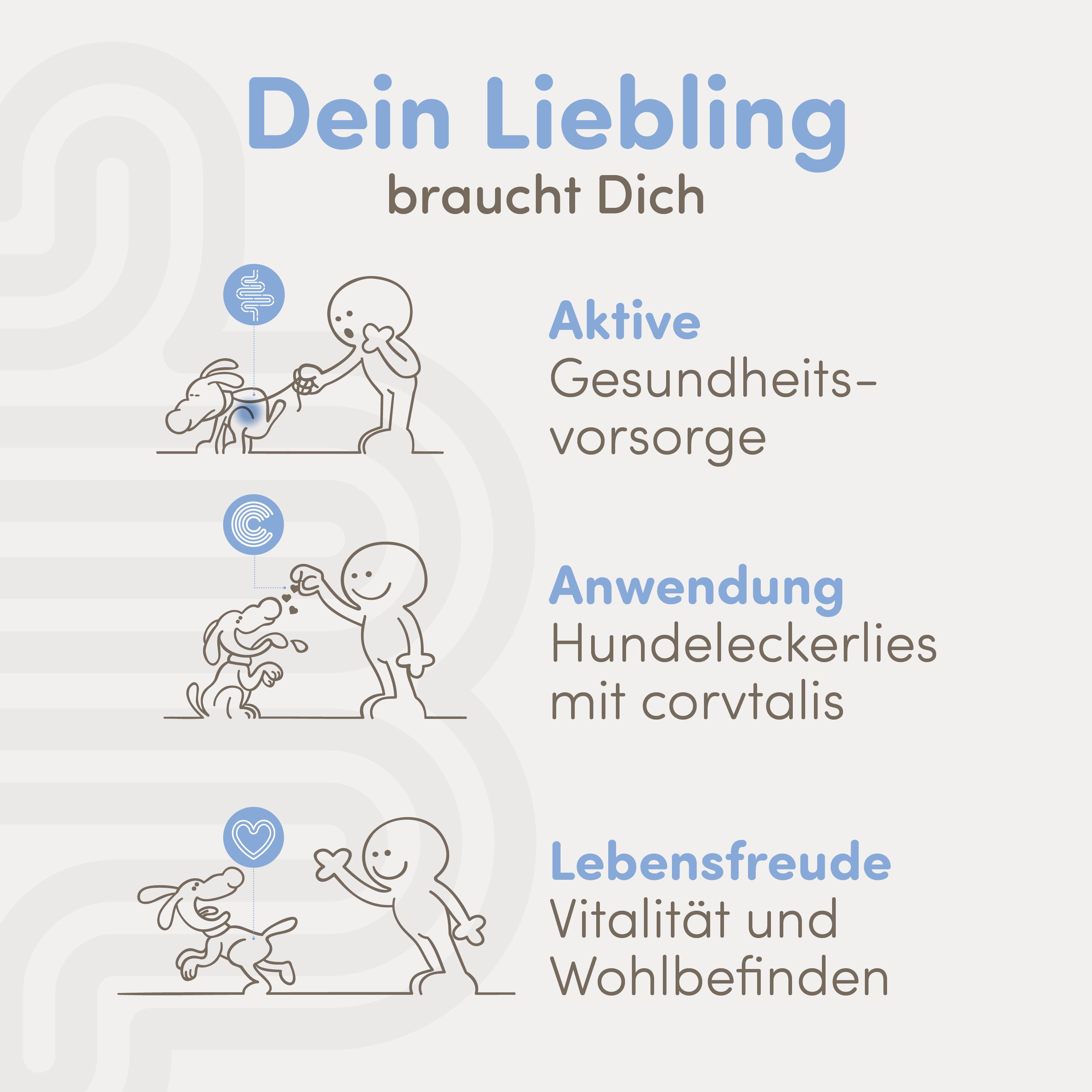 Illustrationen: Aktive Gesundheitsvorsorge, Anwendung Hundeleckerlies mit corvitalis, Lebensfreude. Text: Dein Liebling braucht Dich.