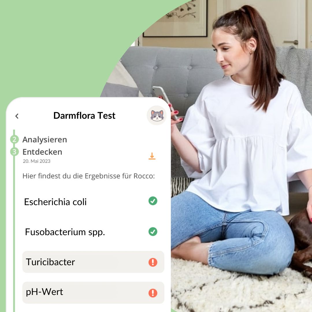 Smartphone-App-Ansicht. Ergebnisse des Darmflora Tests für Katze. Zeigt Ergebnisse und Analyse.
