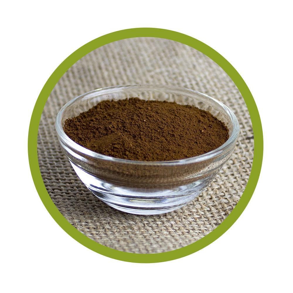 vitalundfitmit100® Bio Chaga Pulver