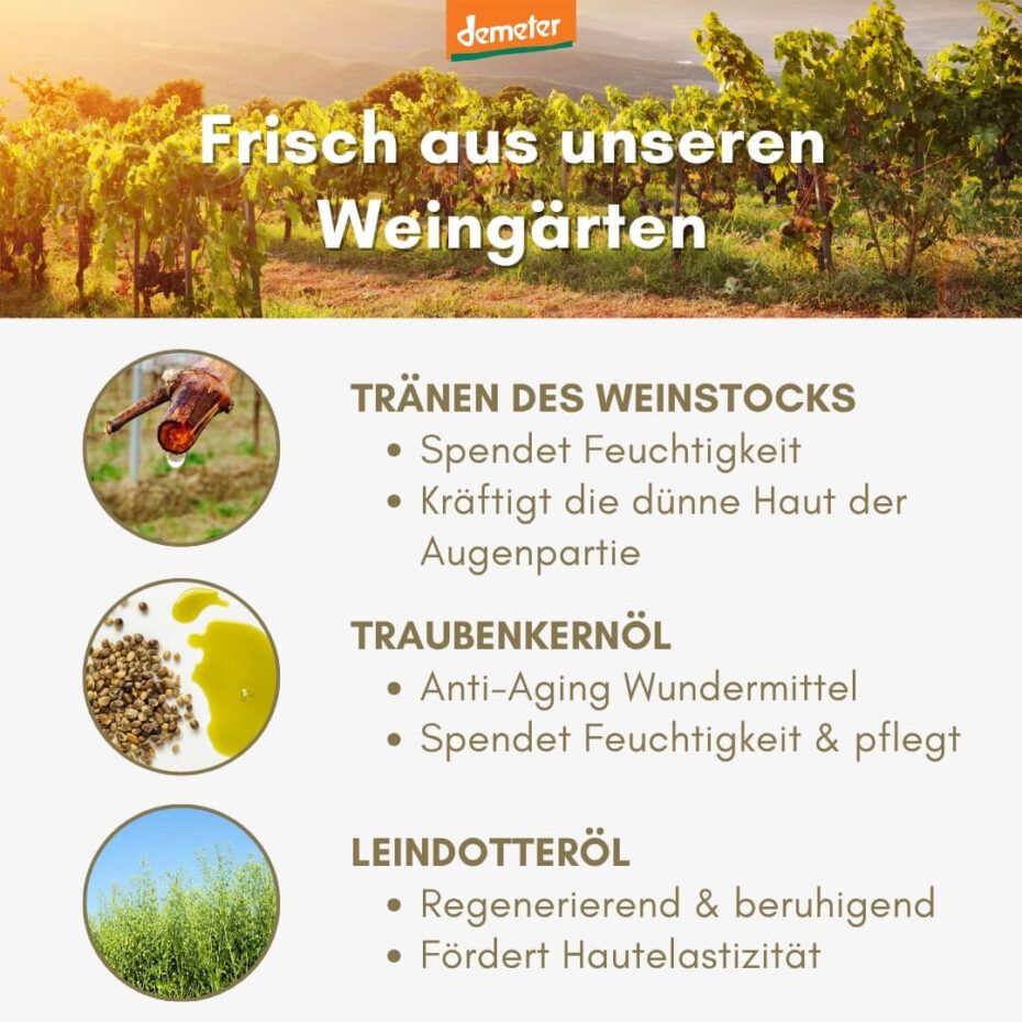 Text mit dem Titel: Frisch aus unseren Weingärten. Auflistung von Inhaltsstoffen: Tränen des Weinstocks, Traubenkernöl, Leindotteröl. Demeter-Logo.