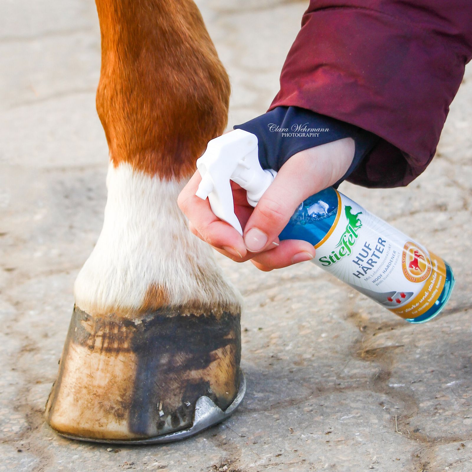 Person sprüht Stiefel Hufhärter auf ein Pferdebein. Blaue Flüssigkeit in Sprühflasche. Logo und Produktname sichtbar.